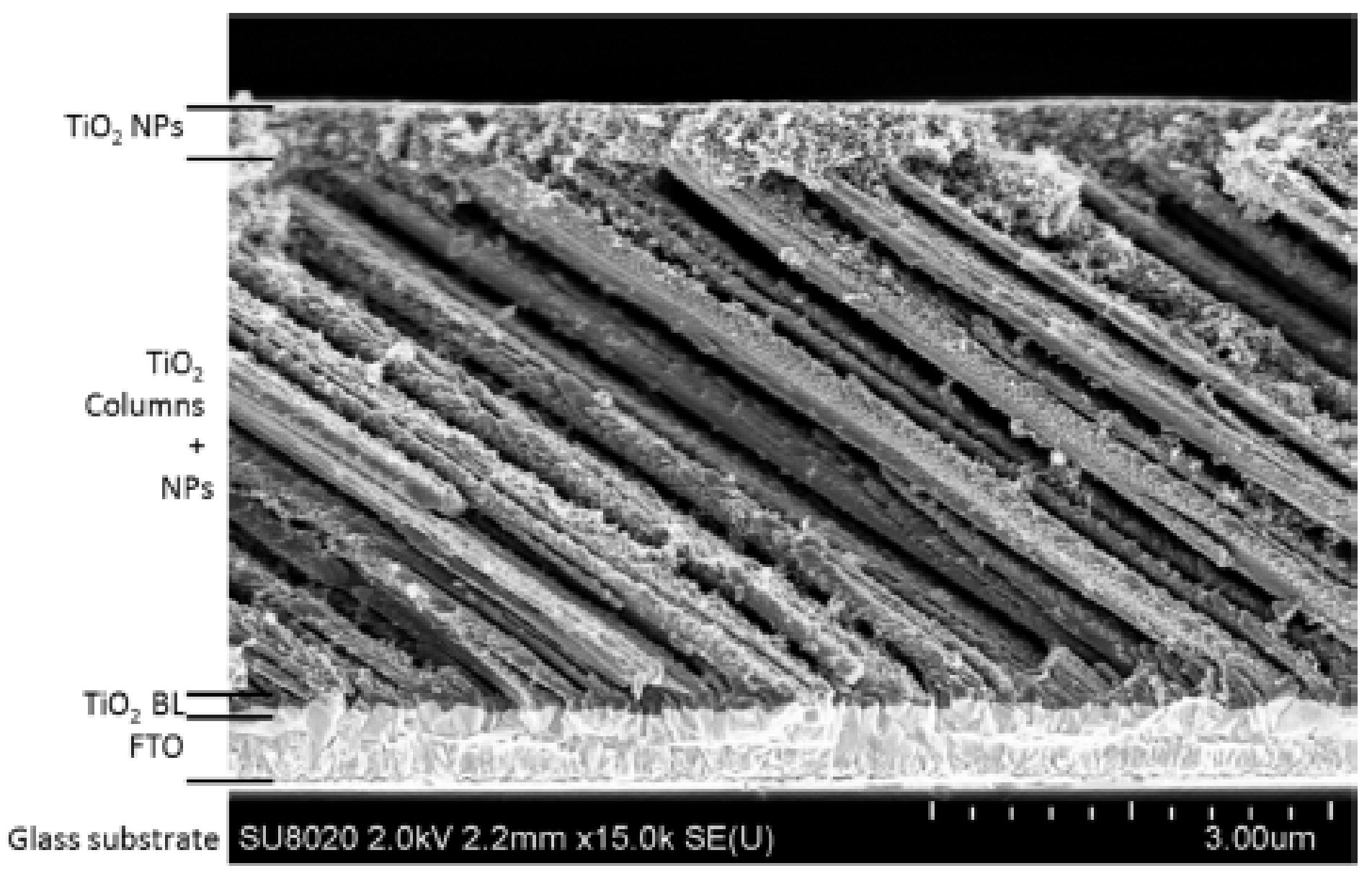 Nanomaterials 10 02039 g020