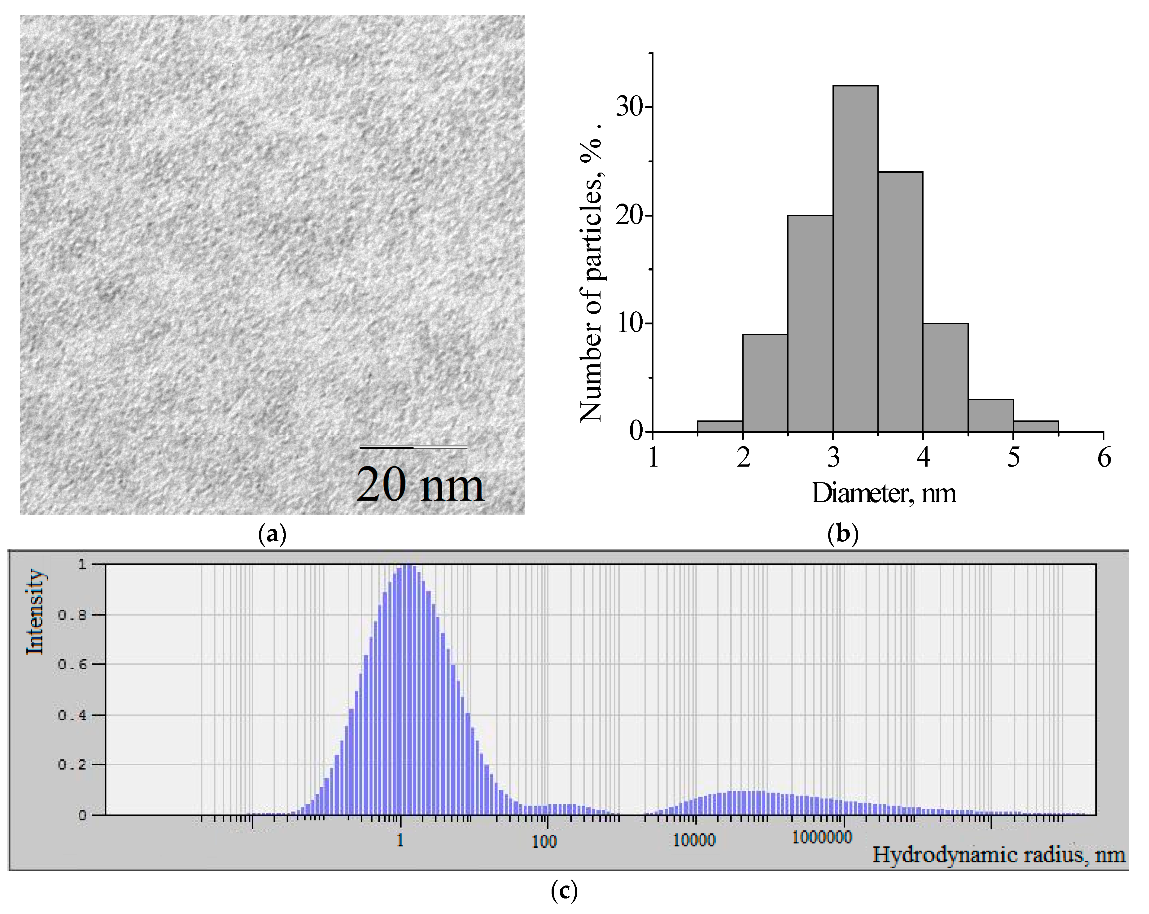 Nanomaterials 10 02053 g001