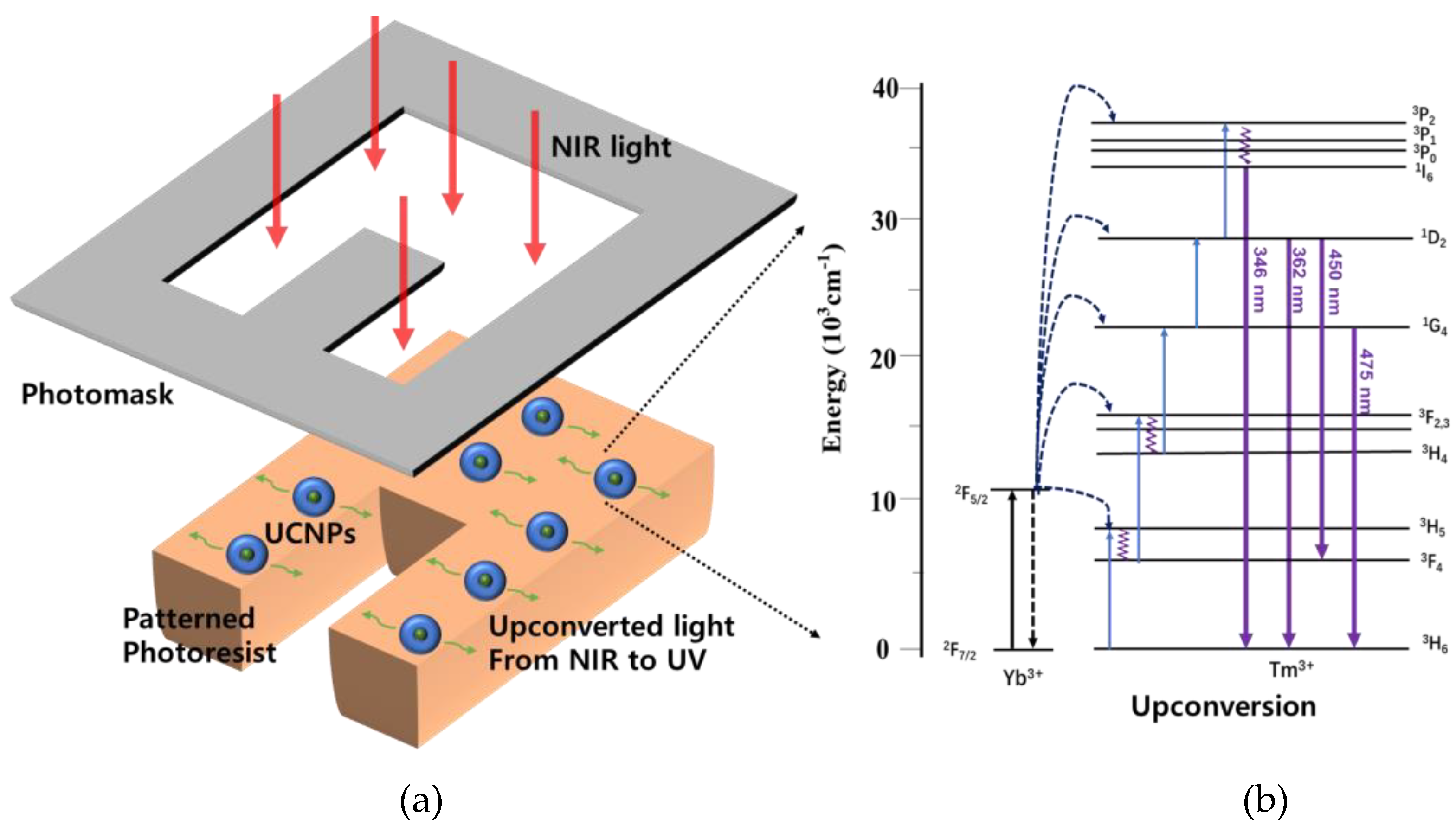 Nanomaterials 10 02054 g001