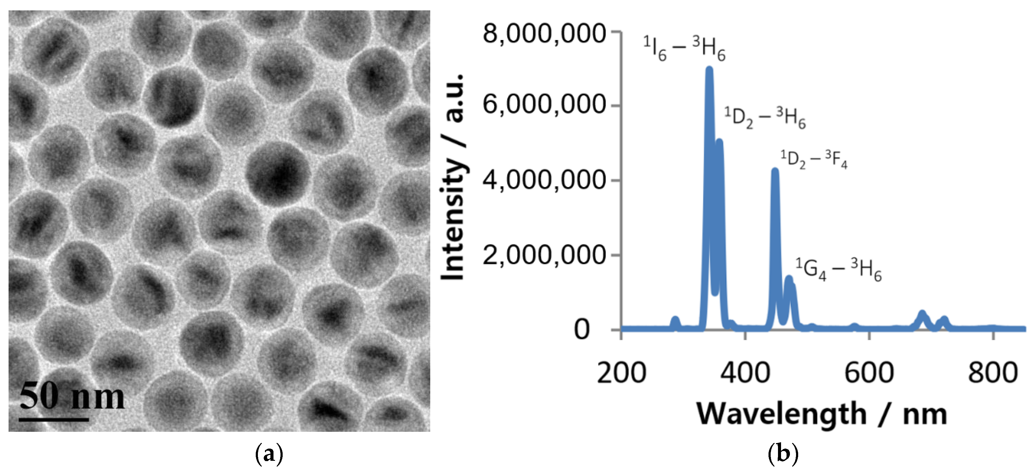 Nanomaterials 10 02054 g002