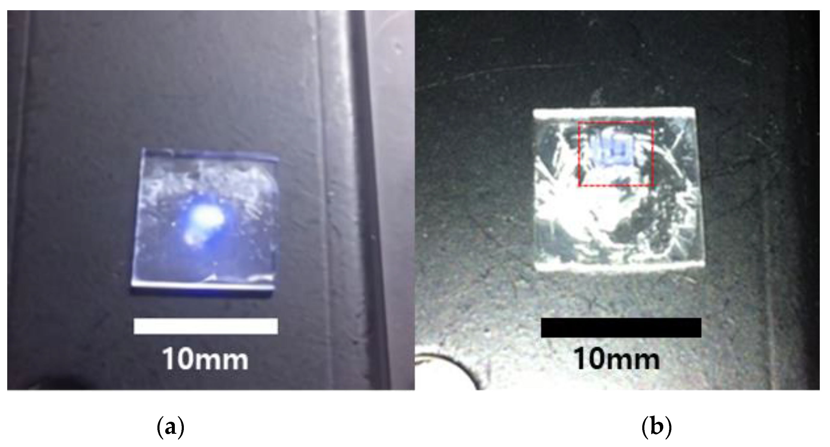 Nanomaterials 10 02054 g003