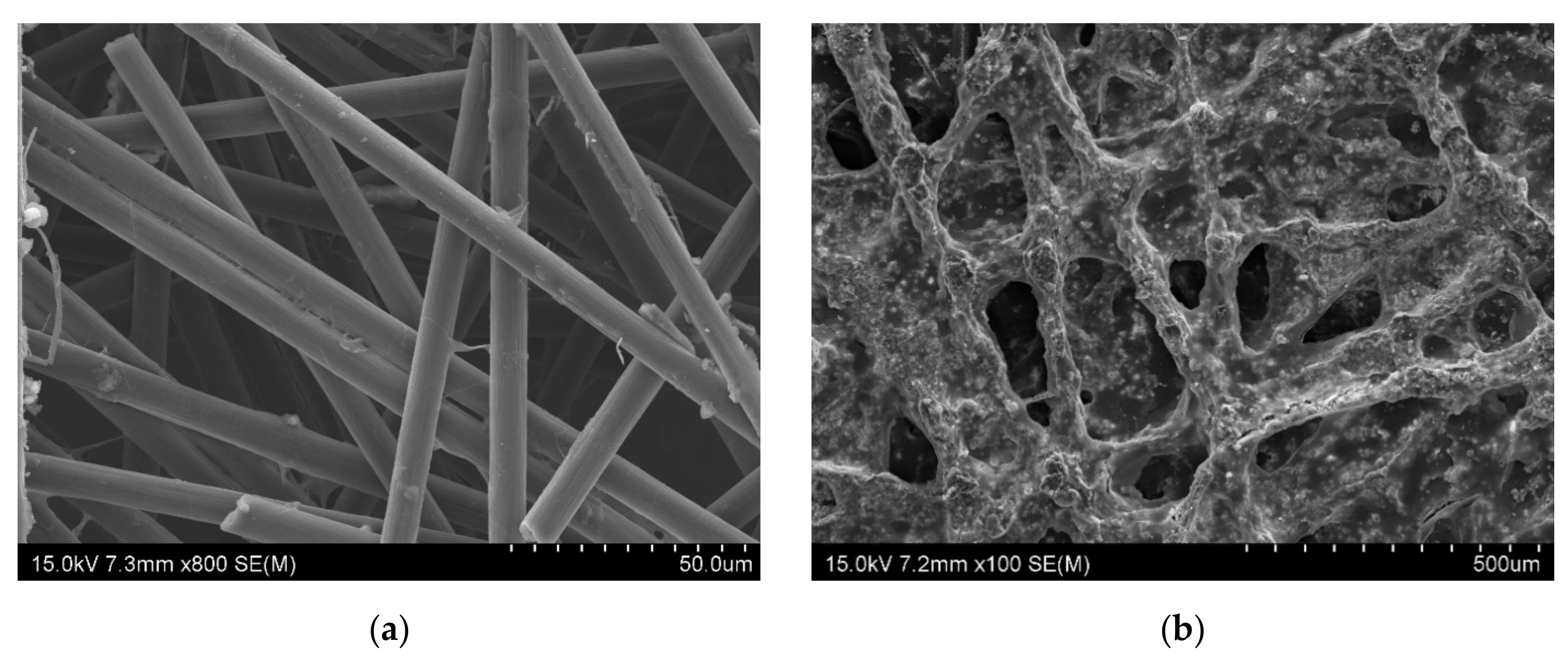 Nanomaterials 10 02086 g002a