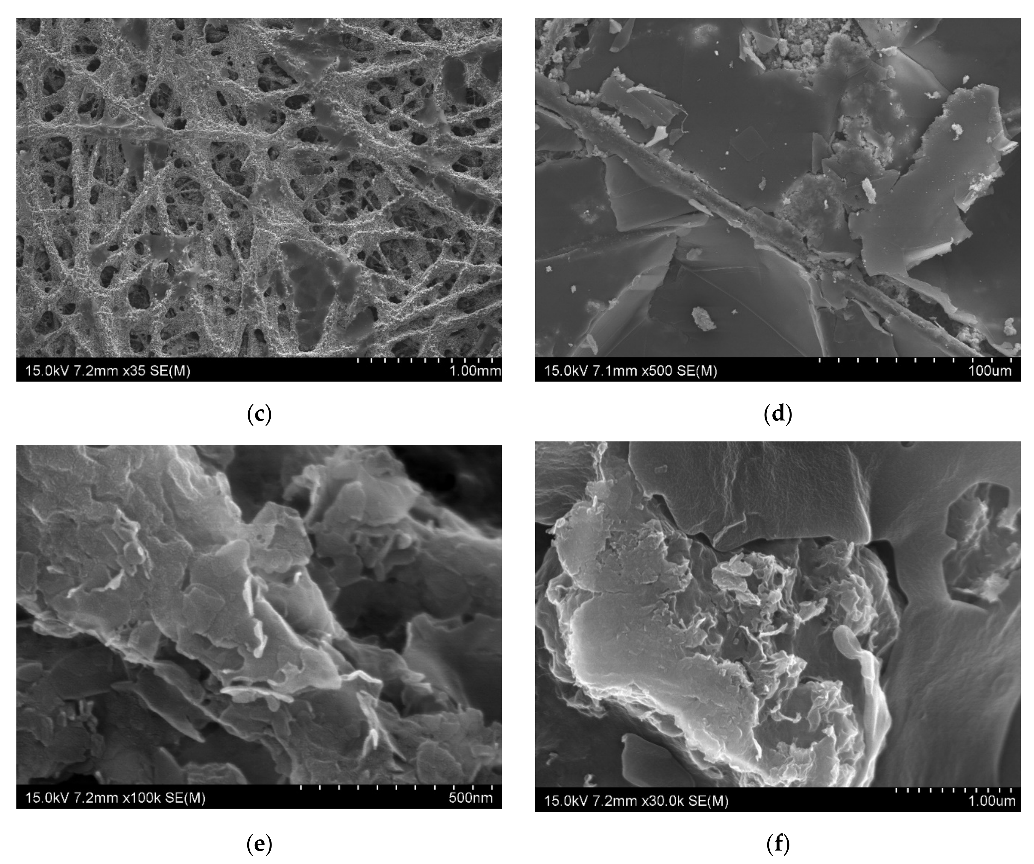 Nanomaterials 10 02086 g002b