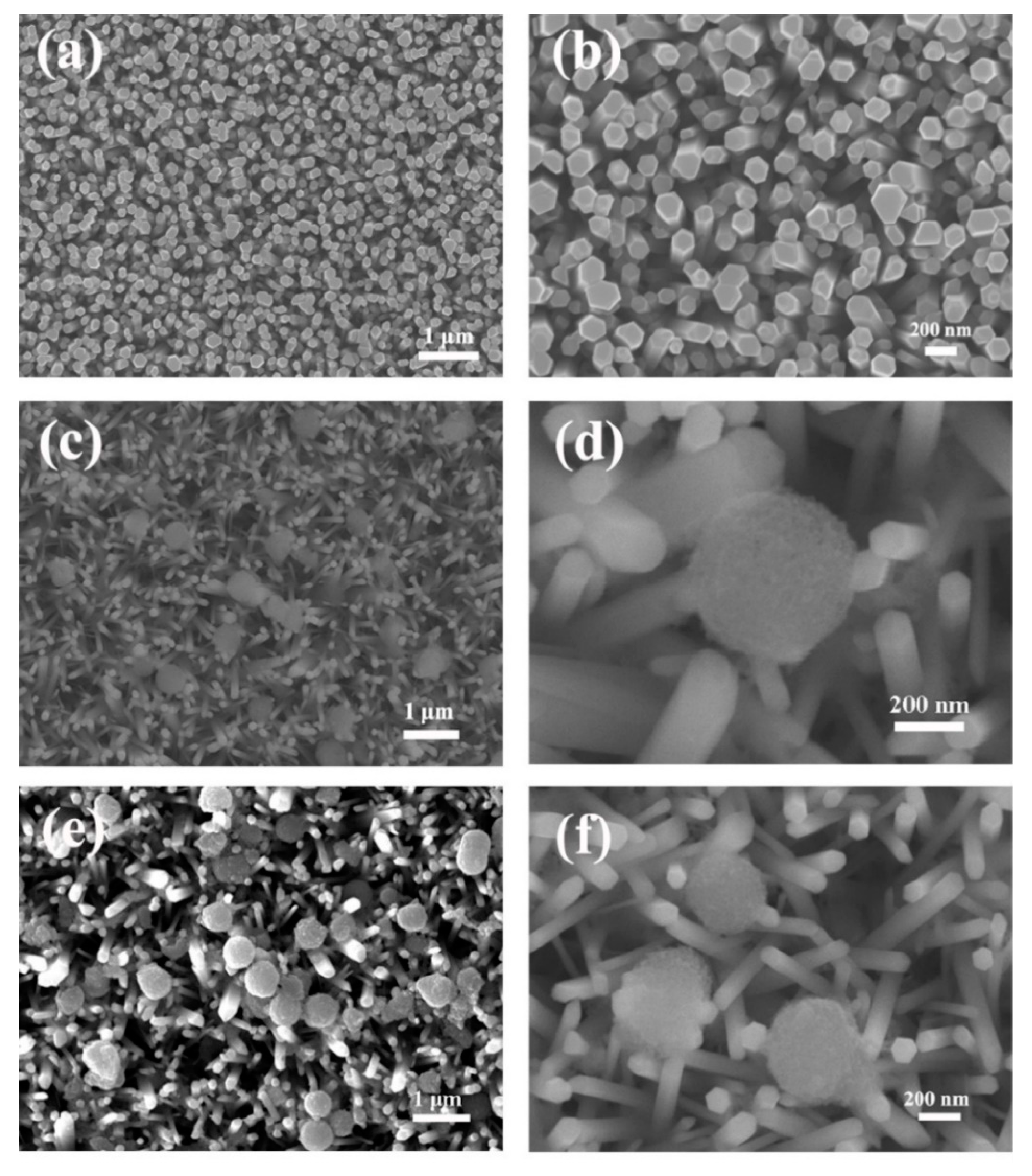 Nanomaterials 10 02096 g001