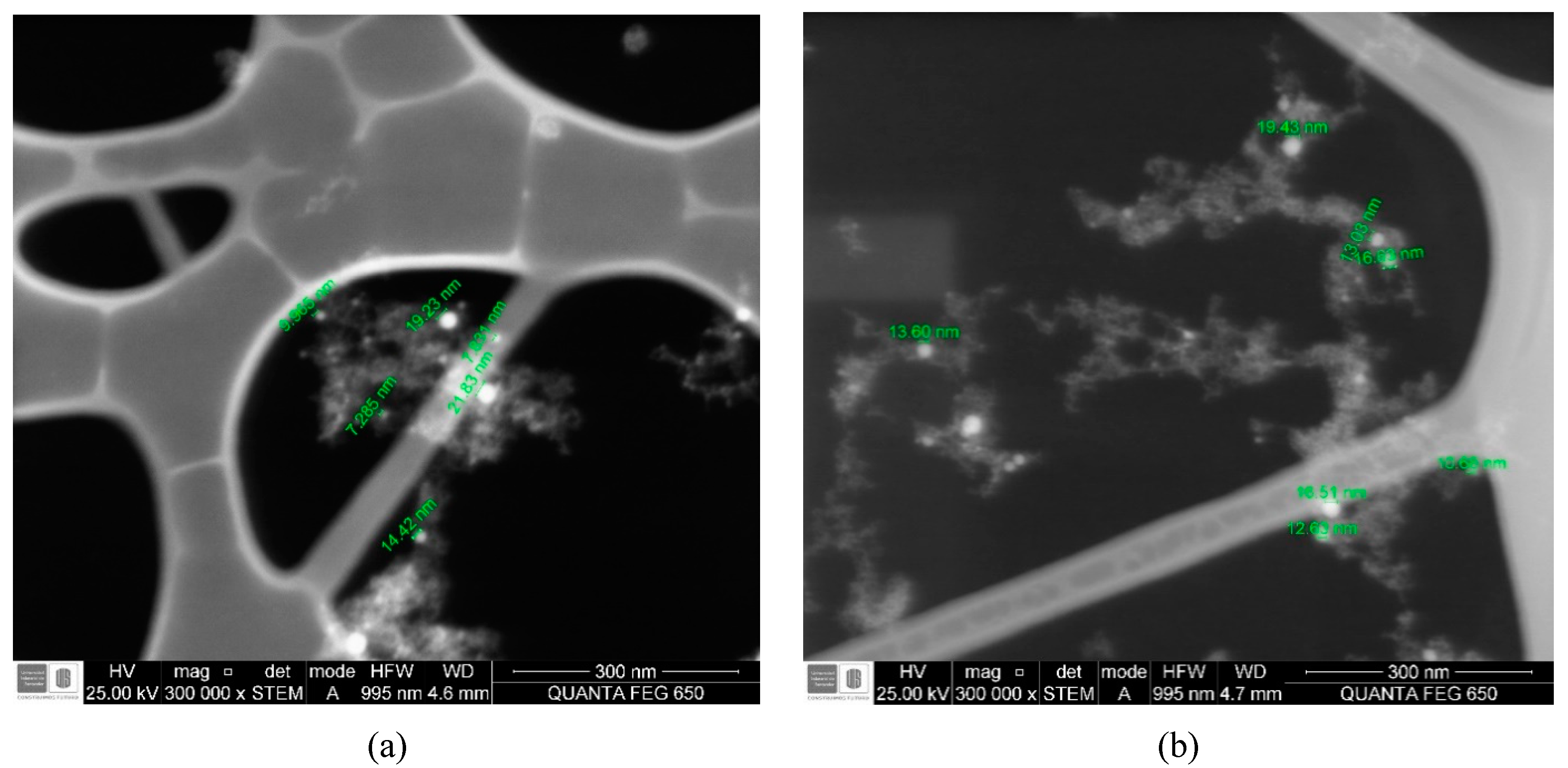Nanomaterials 10 02099 g001a Nanomaterials 10 02099 g001a