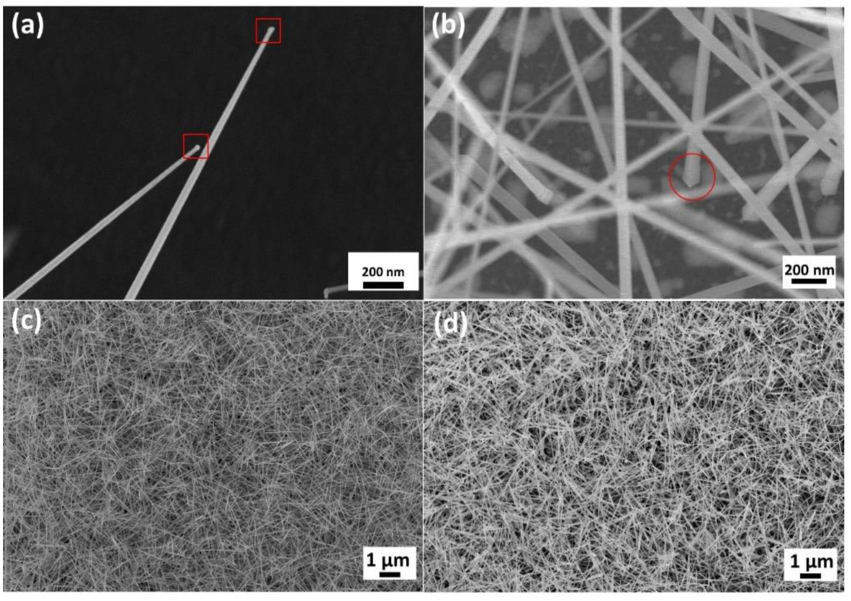 Nanomaterials 10 02100 g002