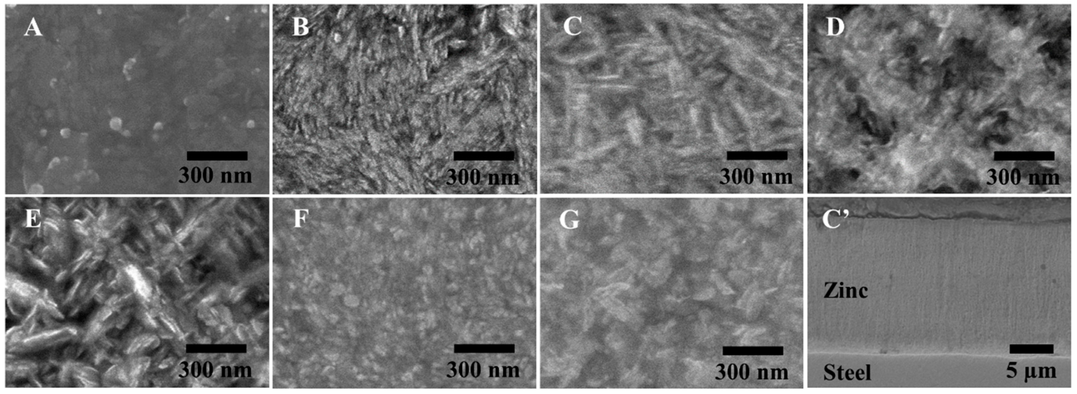 Nanomaterials 10 02101 g002