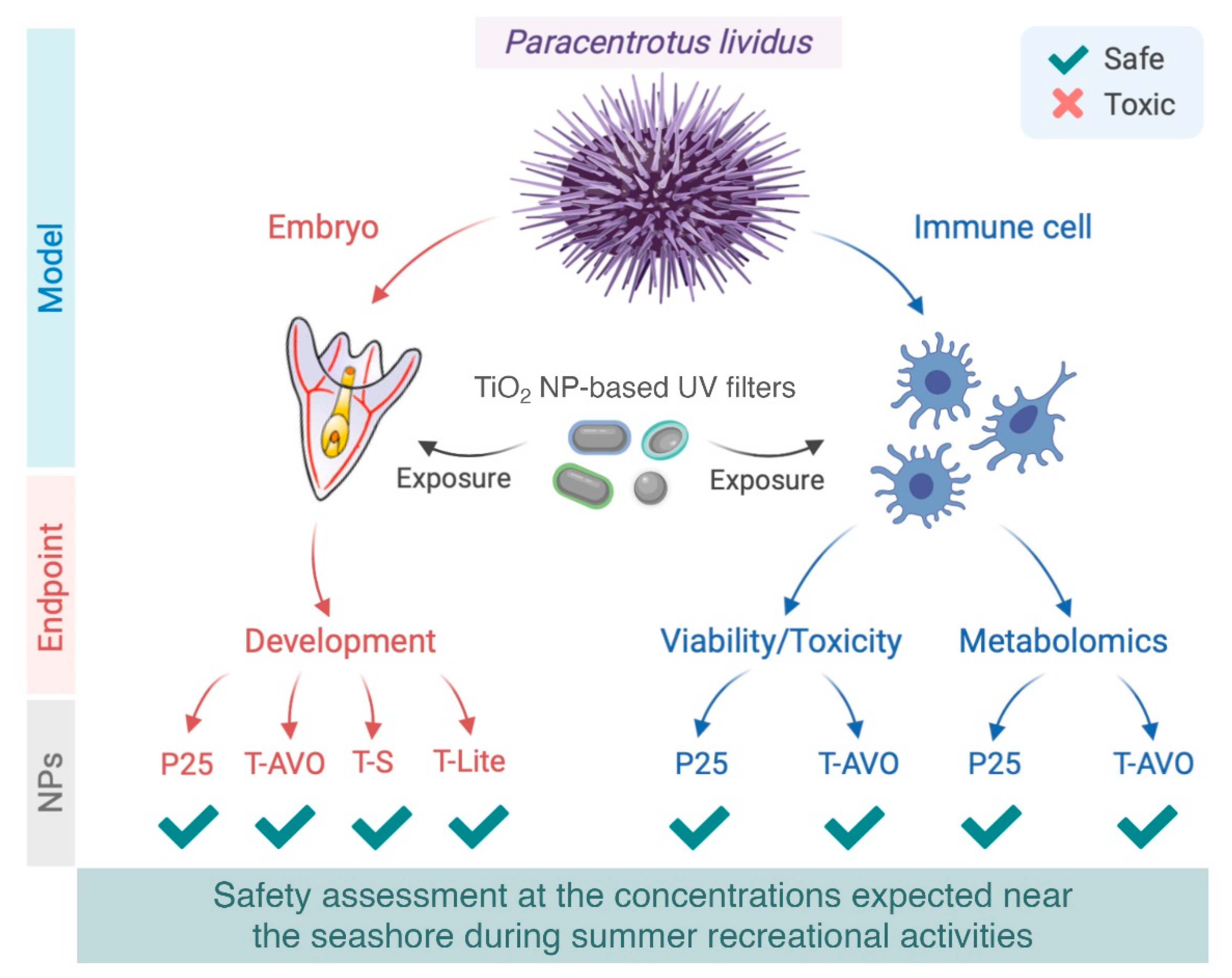 Nanomaterials 10 02102 g005 Nanomaterials 10 02102 g005