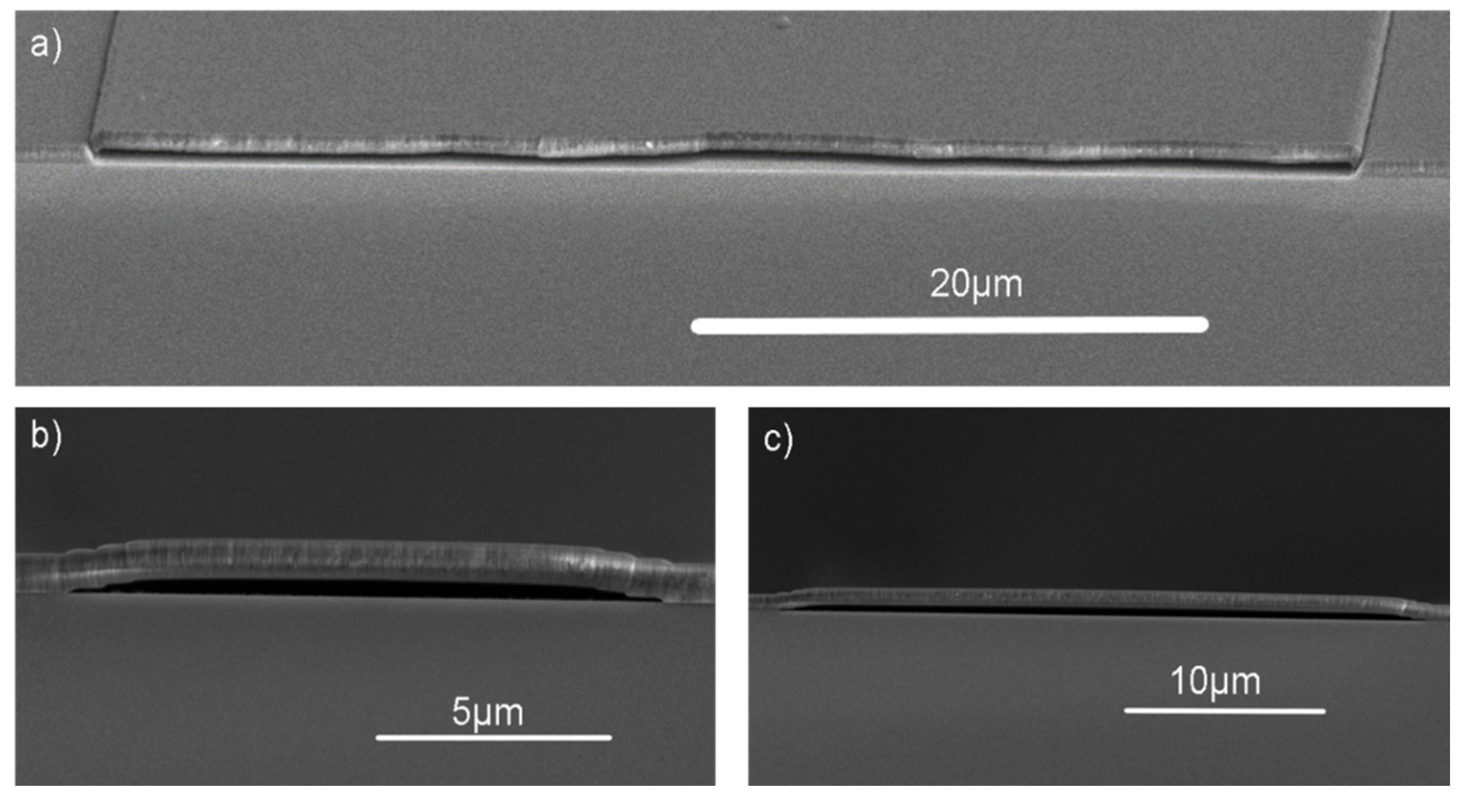 Nanomaterials 10 02105 g004 Nanomaterials 10 02105 g004