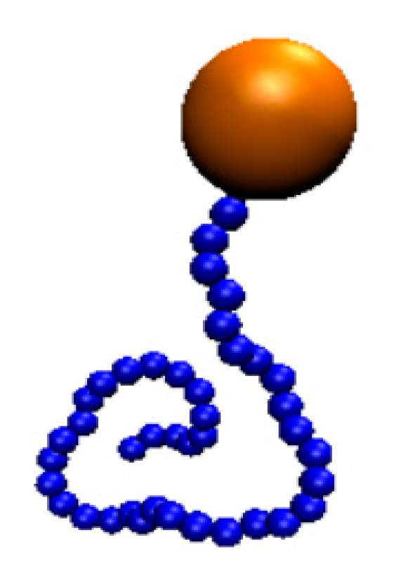 Nanomaterials 10 02108 g001