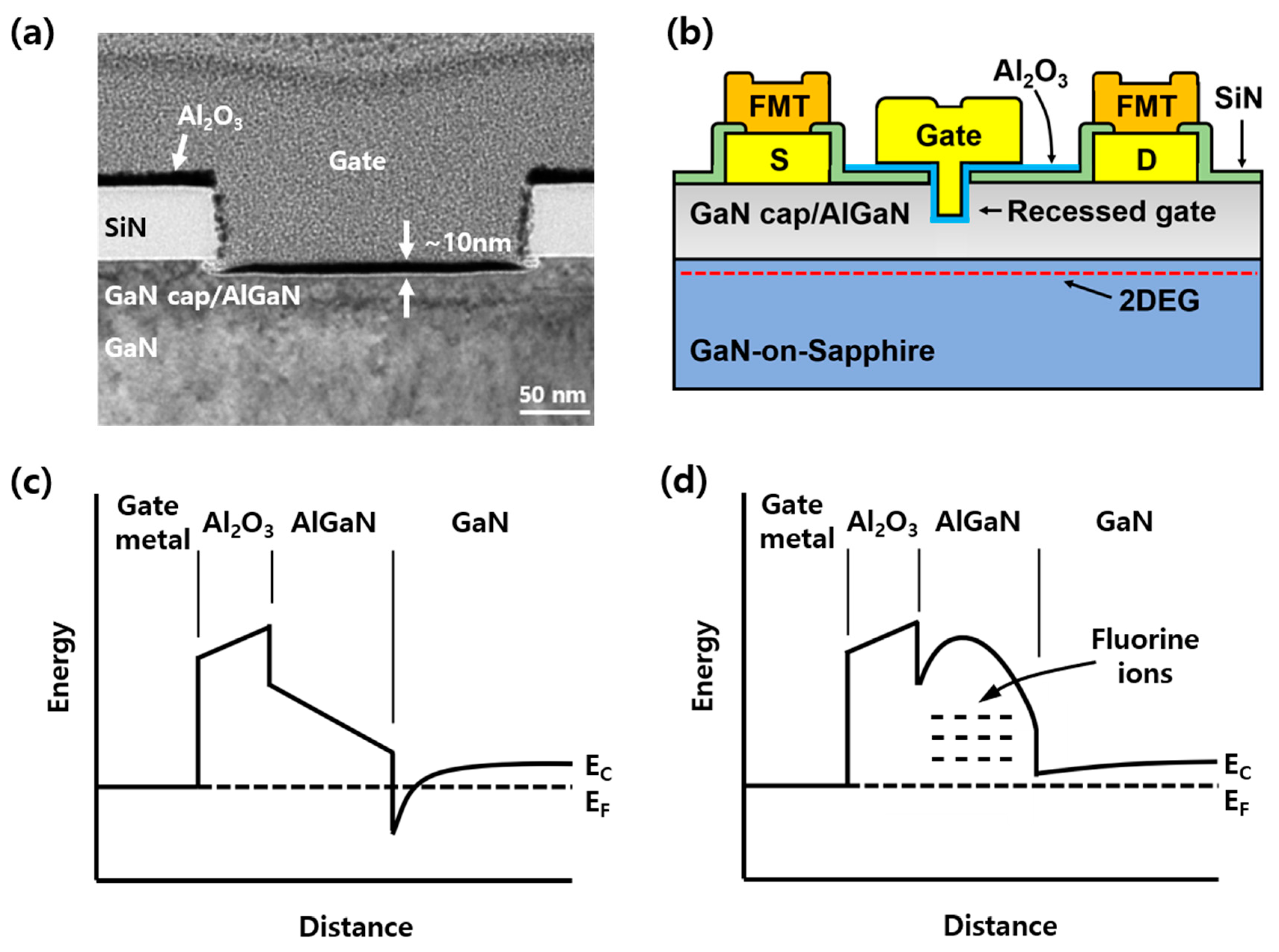 Nanomaterials 10 02116 g001