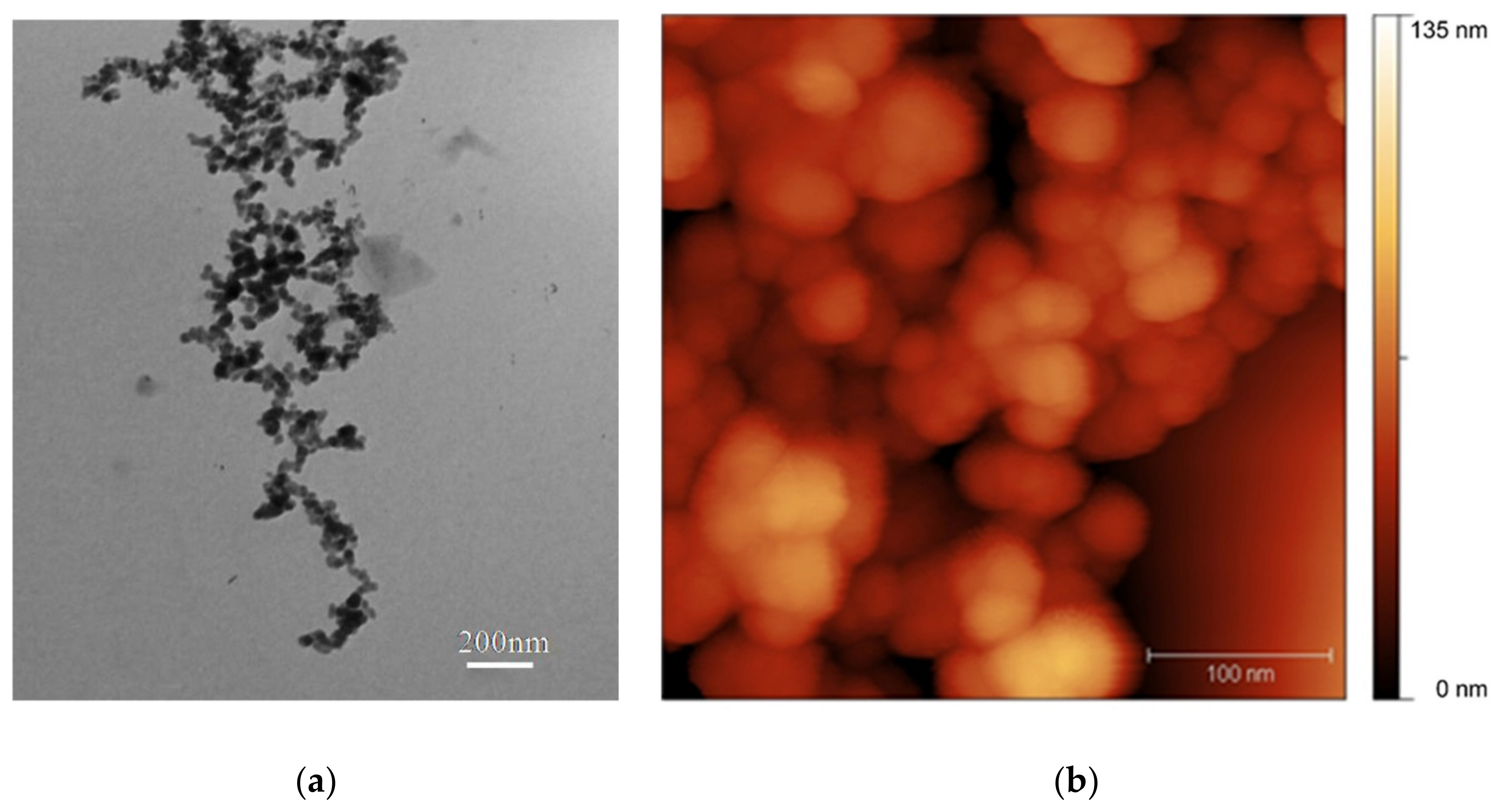 Nanomaterials 10 02126 g002 Nanomaterials 10 02126 g002