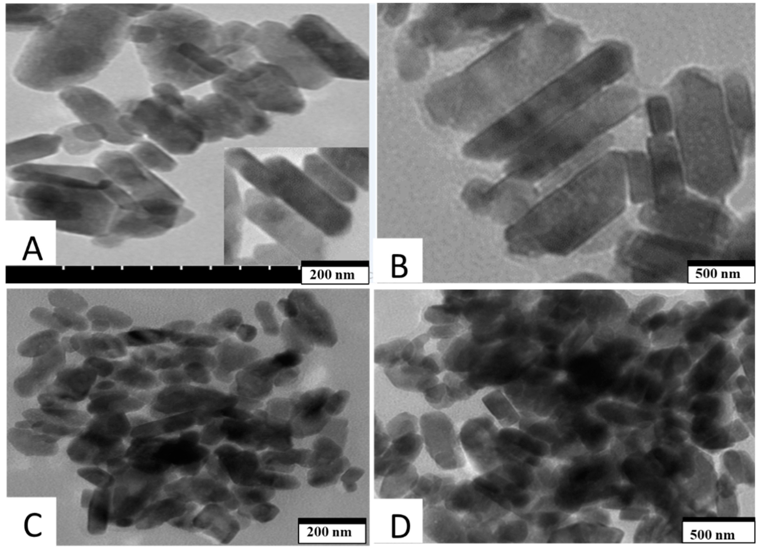 Nanomaterials 10 02139 g004