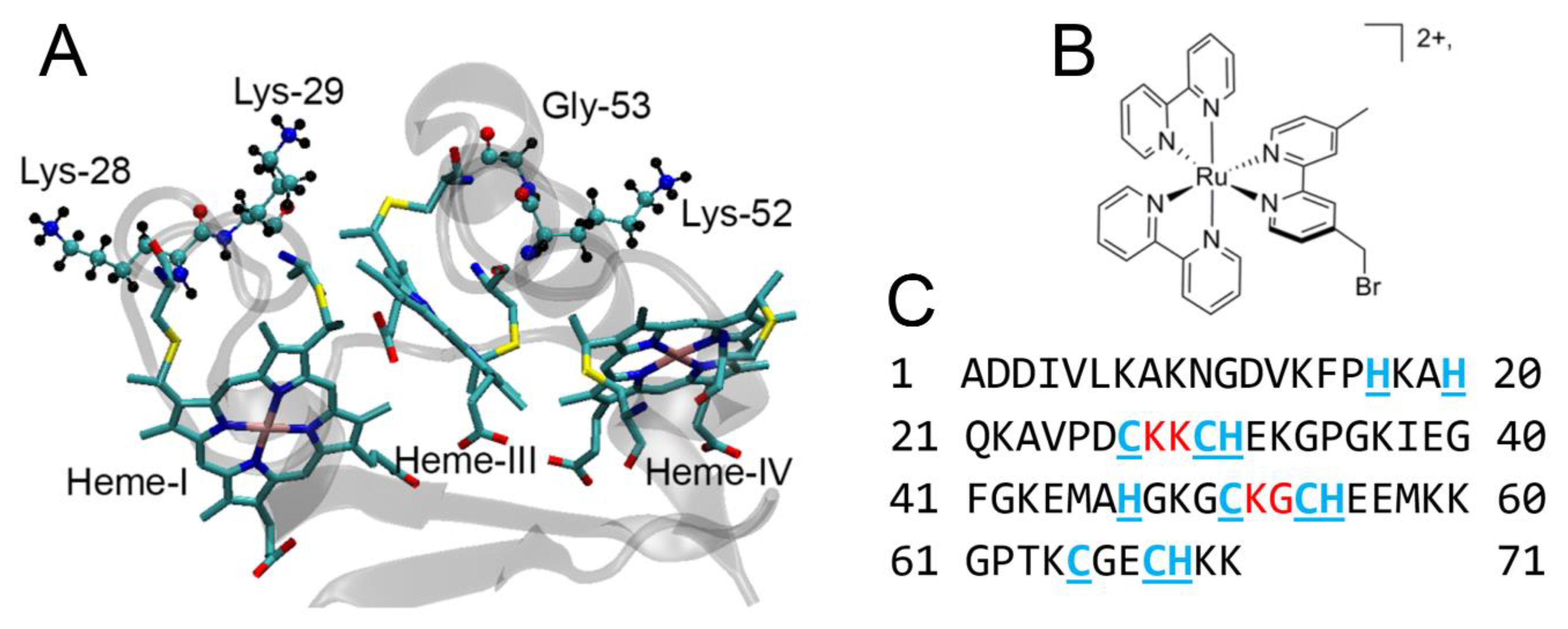 Nanomaterials 10 02143 g001
