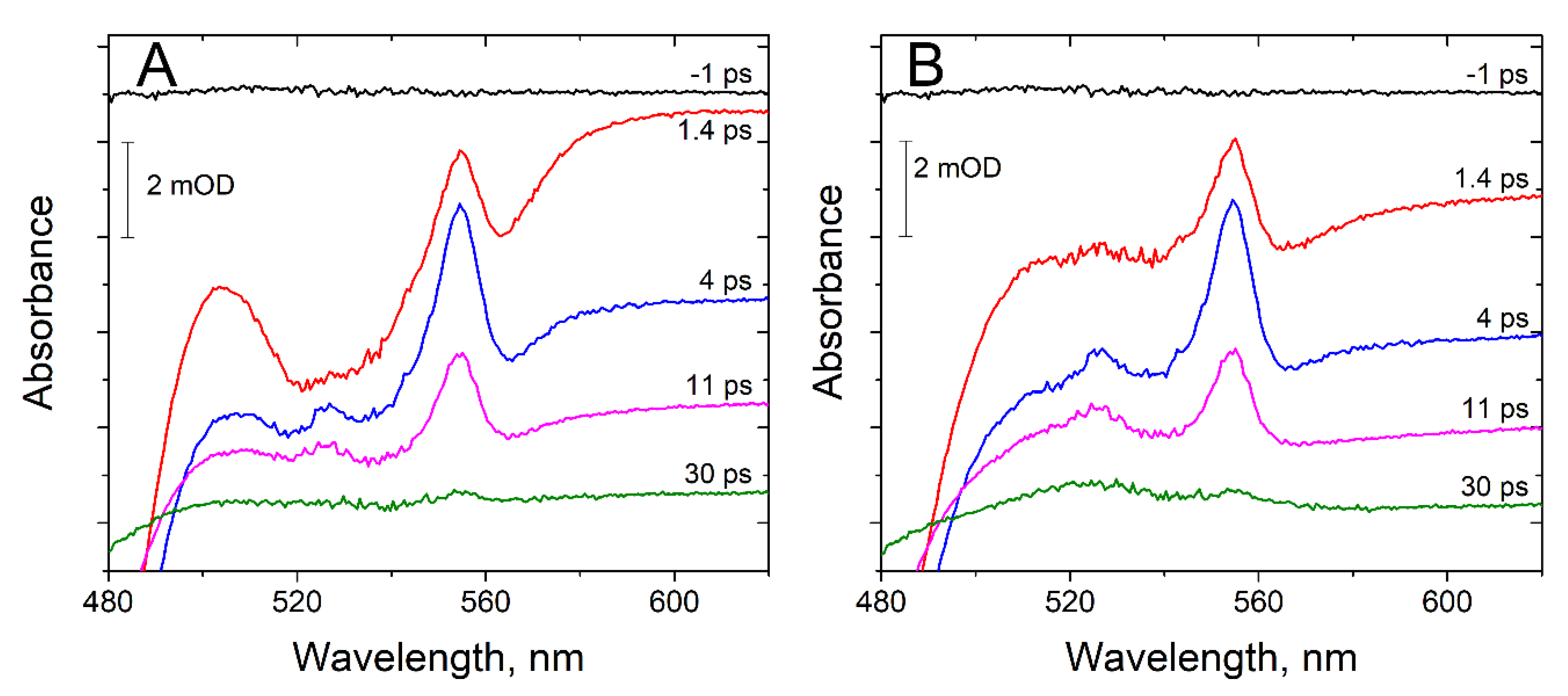 Nanomaterials 10 02143 g002