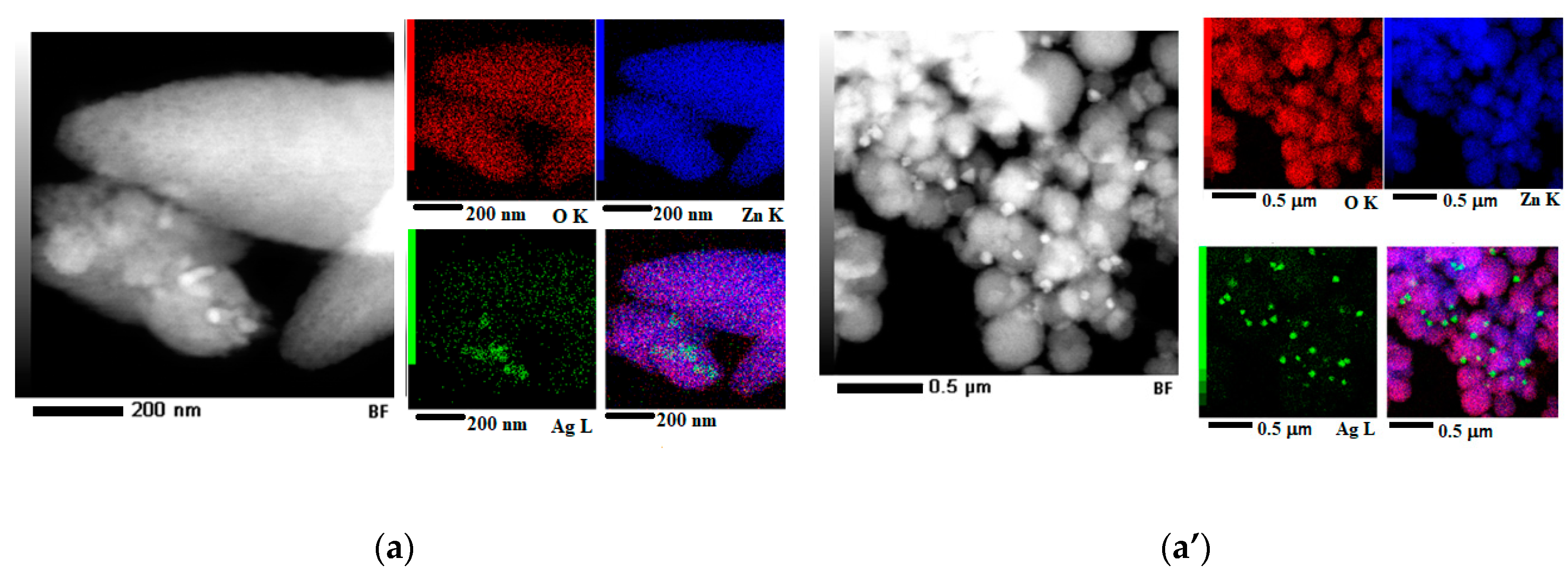 Nanomaterials 10 02146 g004a Nanomaterials 10 02146 g004a