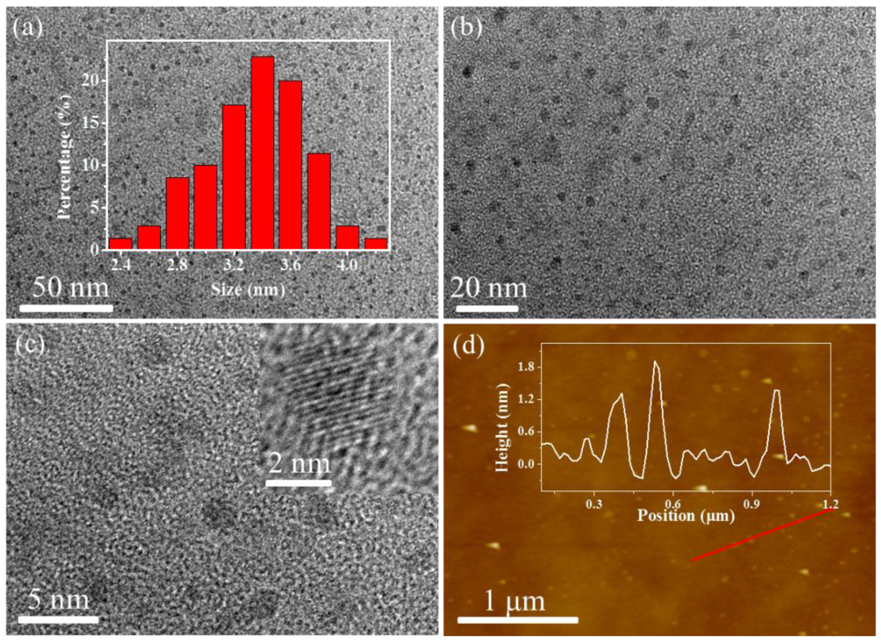 Nanomaterials 10 02155 g001