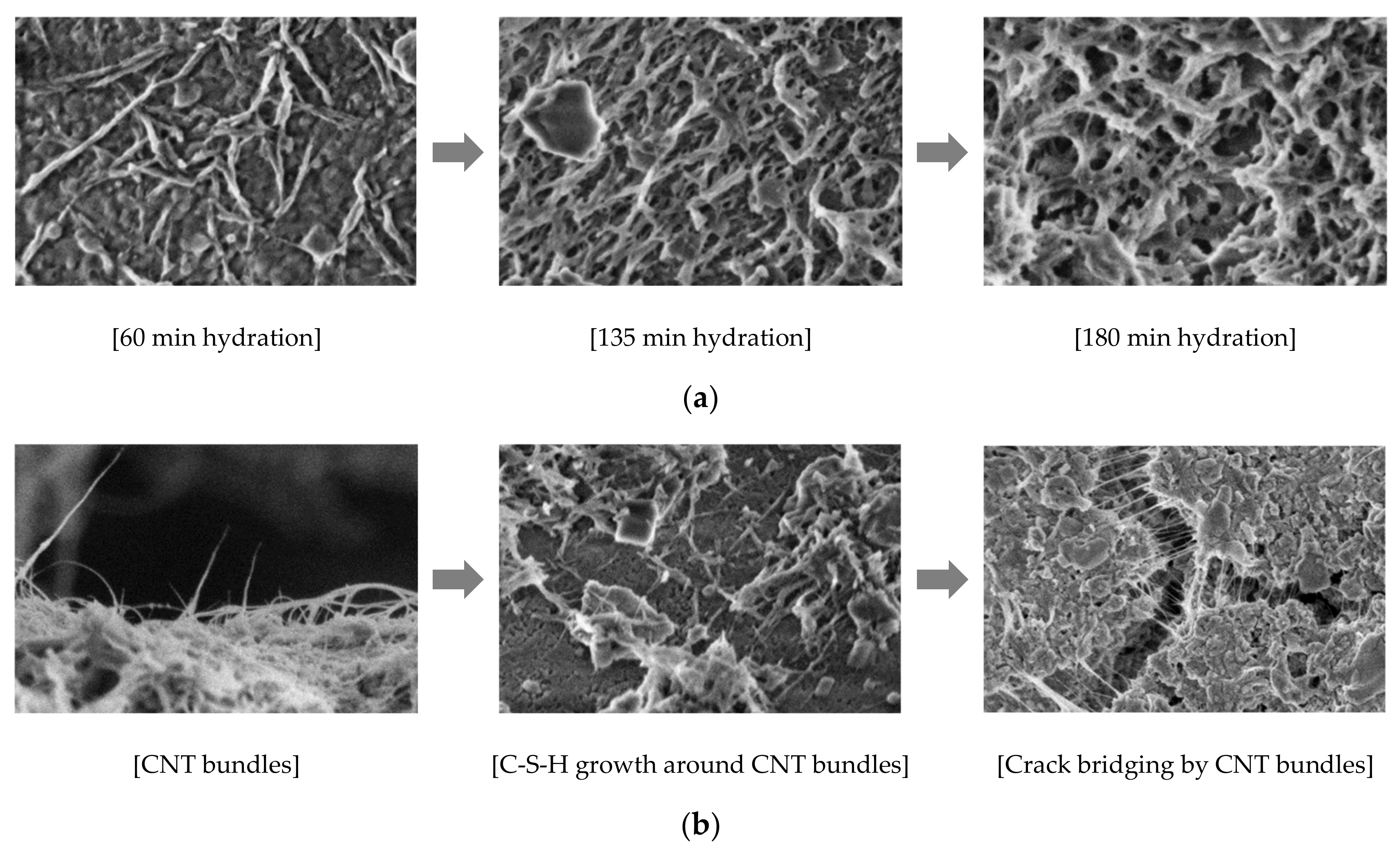 Nanomaterials 10 02158 g007 Nanomaterials 10 02158 g007