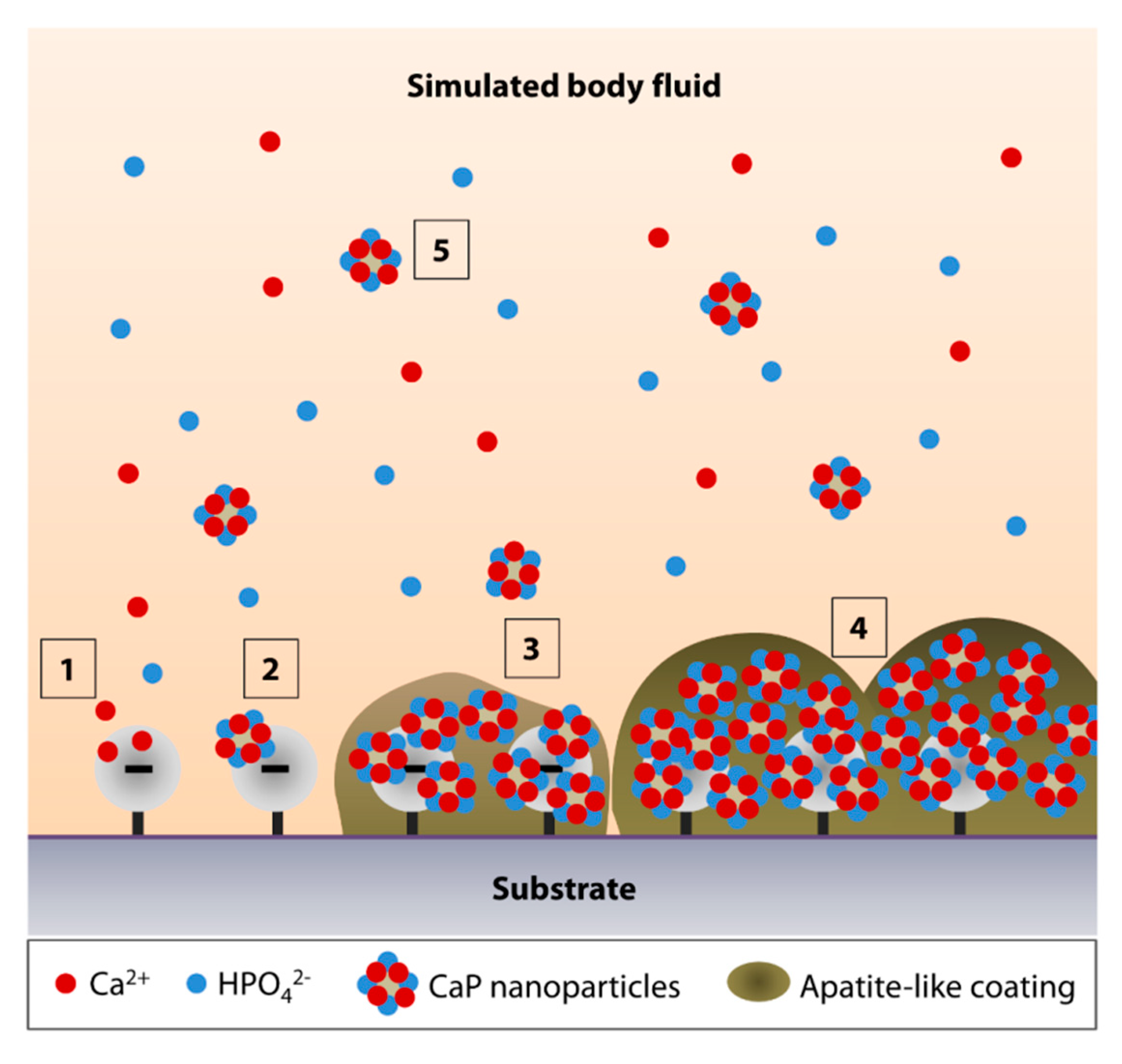 Nanomaterials 10 02162 g001