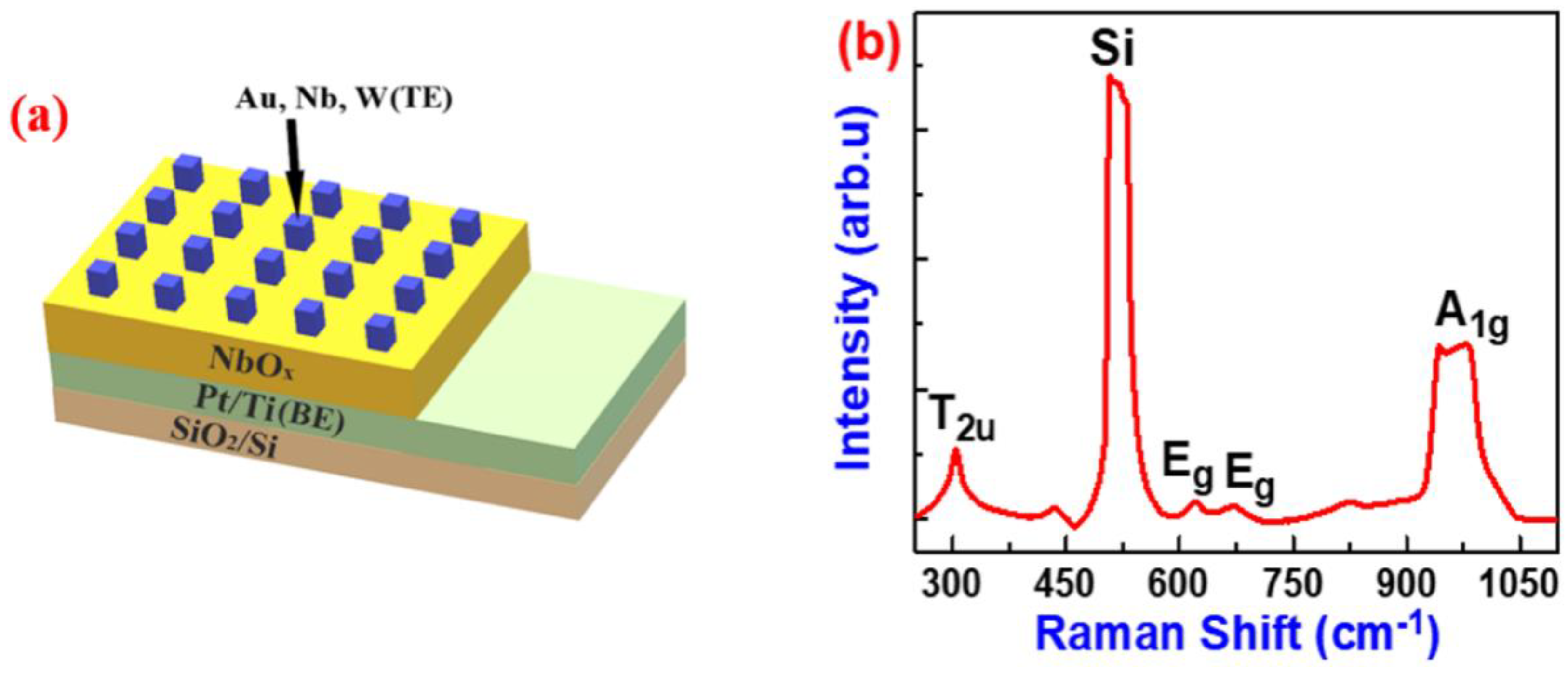 Nanomaterials 10 02164 g001