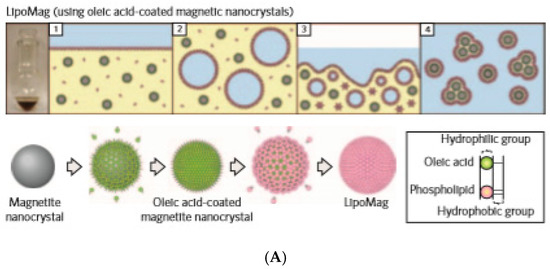 Nanomaterials 10 02178 g005a Nanomaterials 10 02178 g005a