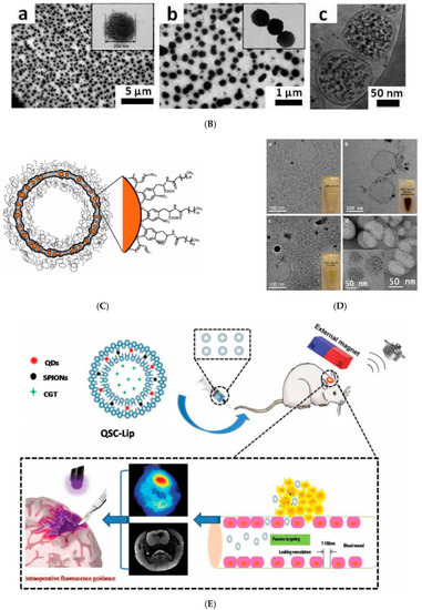Nanomaterials 10 02178 g005b
