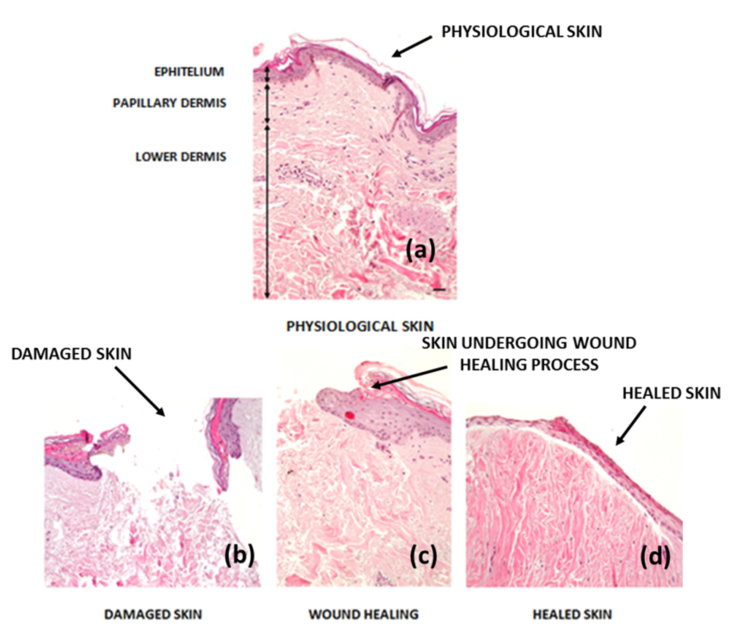 Nanomaterials 10 02179 g001 Nanomaterials 10 02179 g001