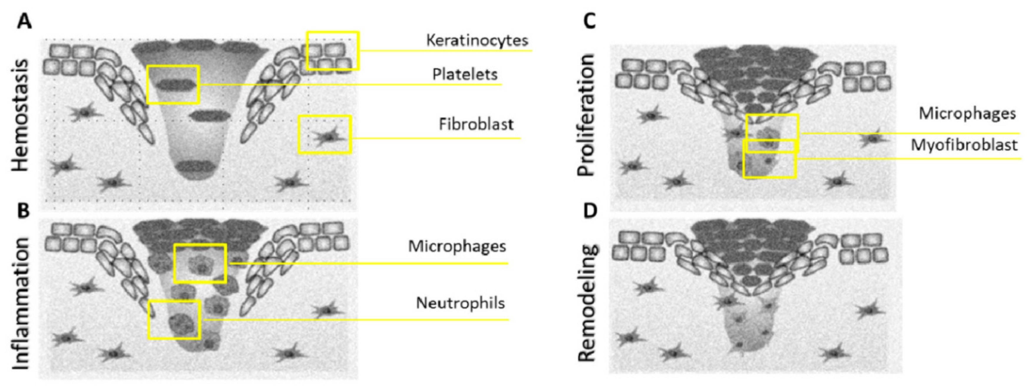 Nanomaterials 10 02179 g002 Nanomaterials 10 02179 g002