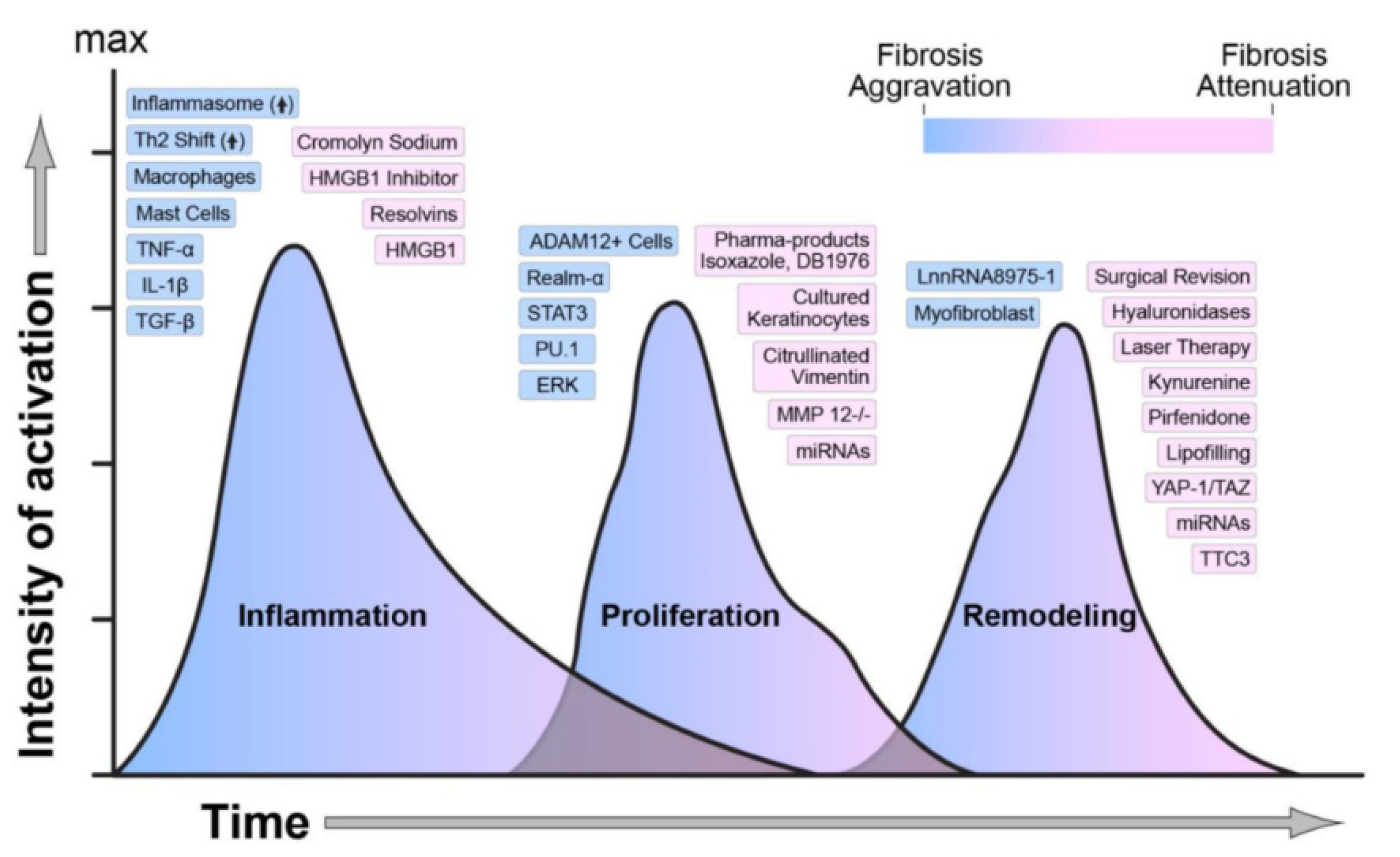 Nanomaterials 10 02179 g004 Nanomaterials 10 02179 g004
