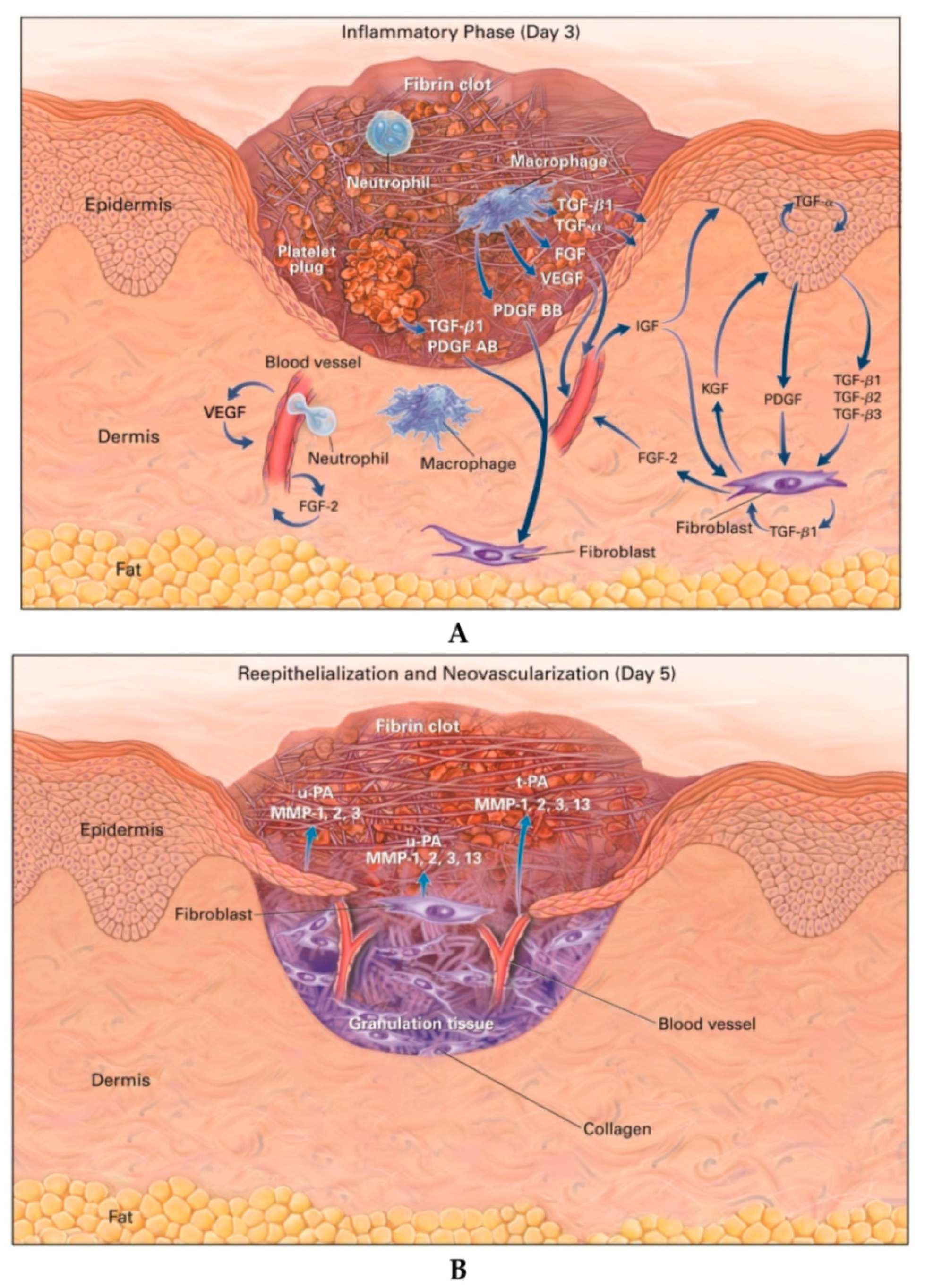 Nanomaterials 10 02179 g005 Nanomaterials 10 02179 g005