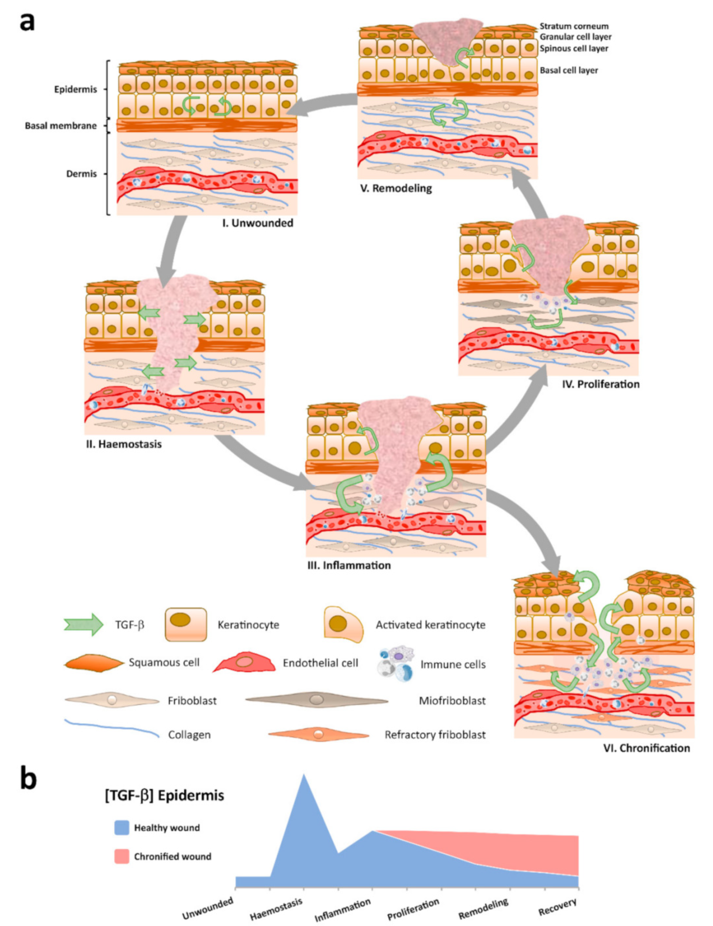 Nanomaterials 10 02179 g006 Nanomaterials 10 02179 g006