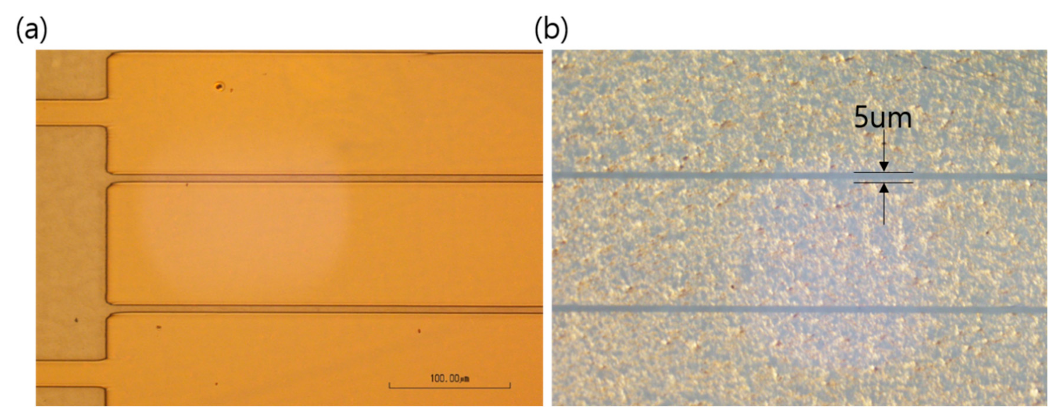 Nanomaterials 10 02185 g004