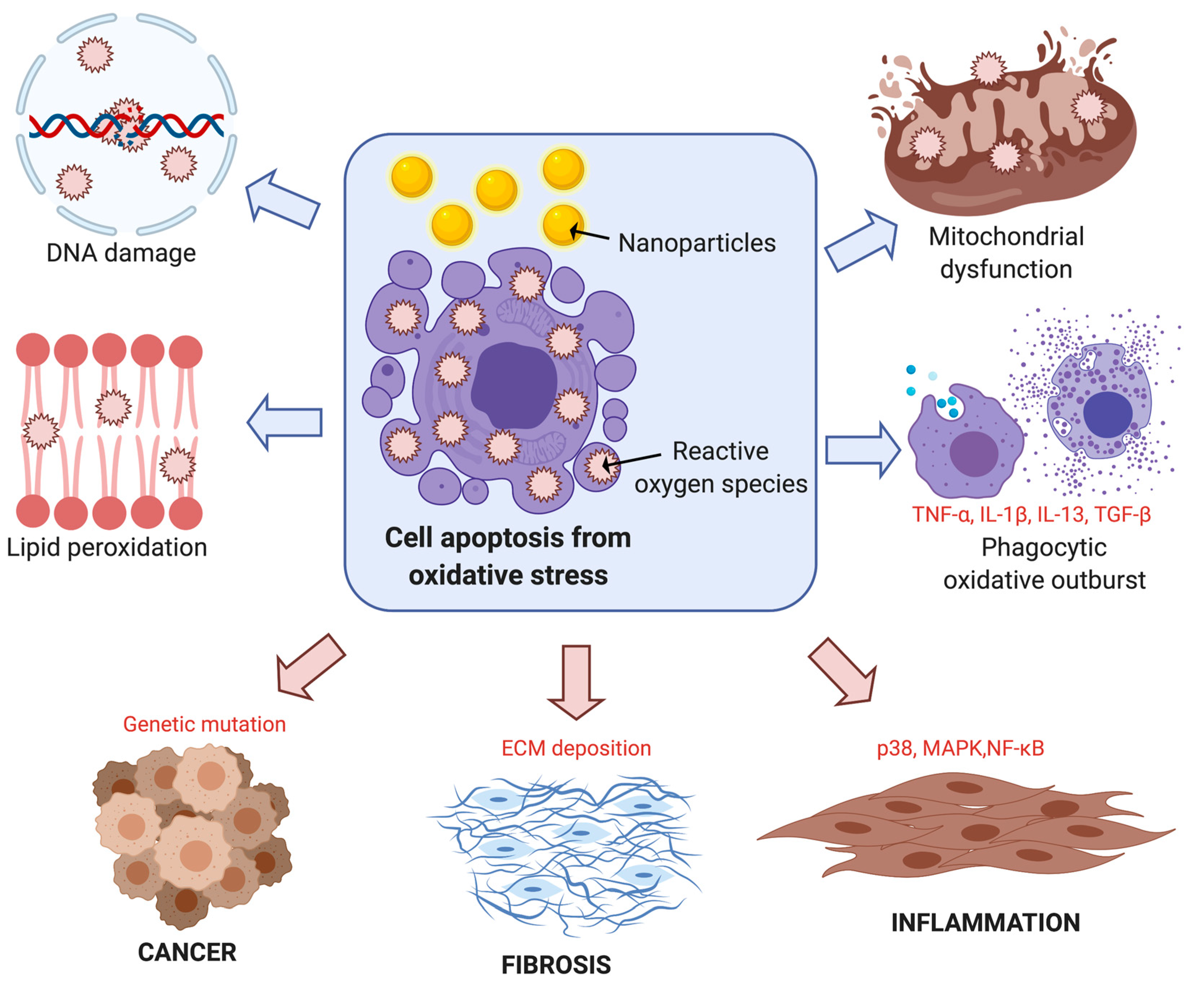 Nanomaterials 10 02186 g002