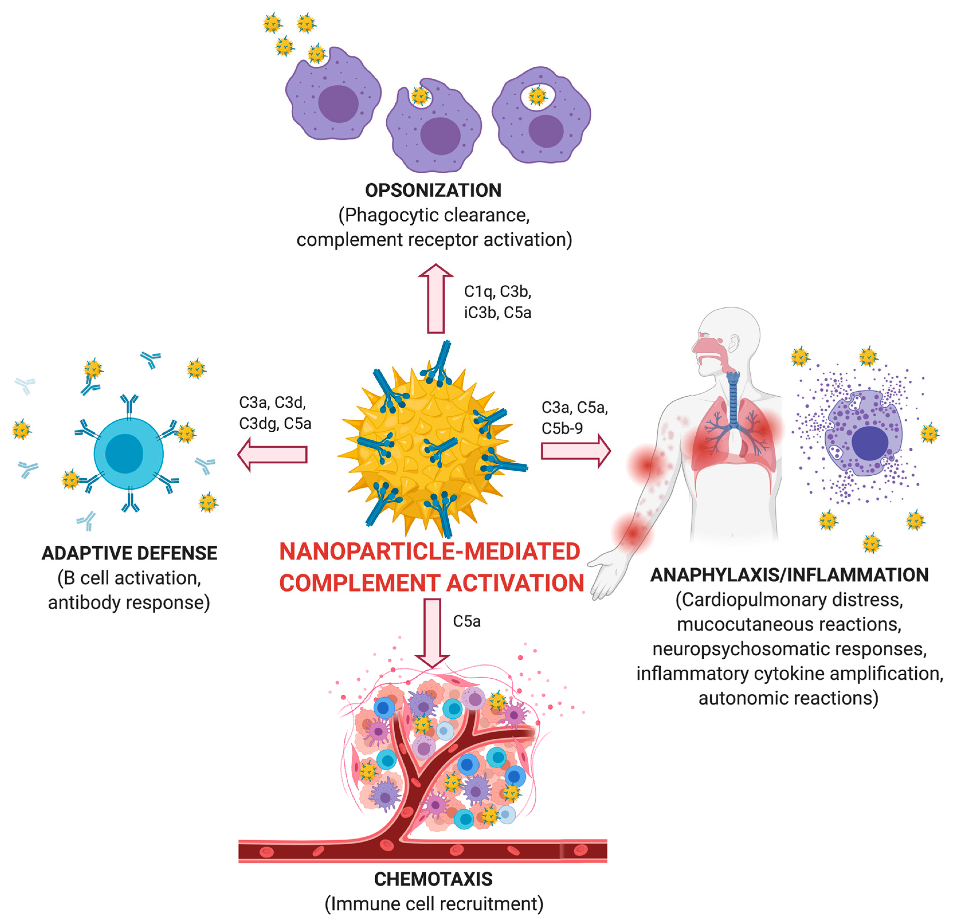 Nanomaterials 10 02186 g003