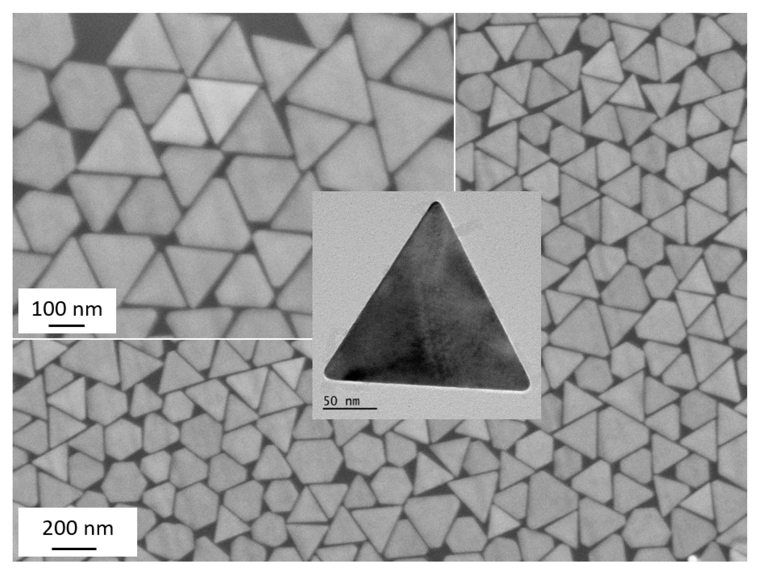Nanomaterials 10 02187 g001 Nanomaterials 10 02187 g001