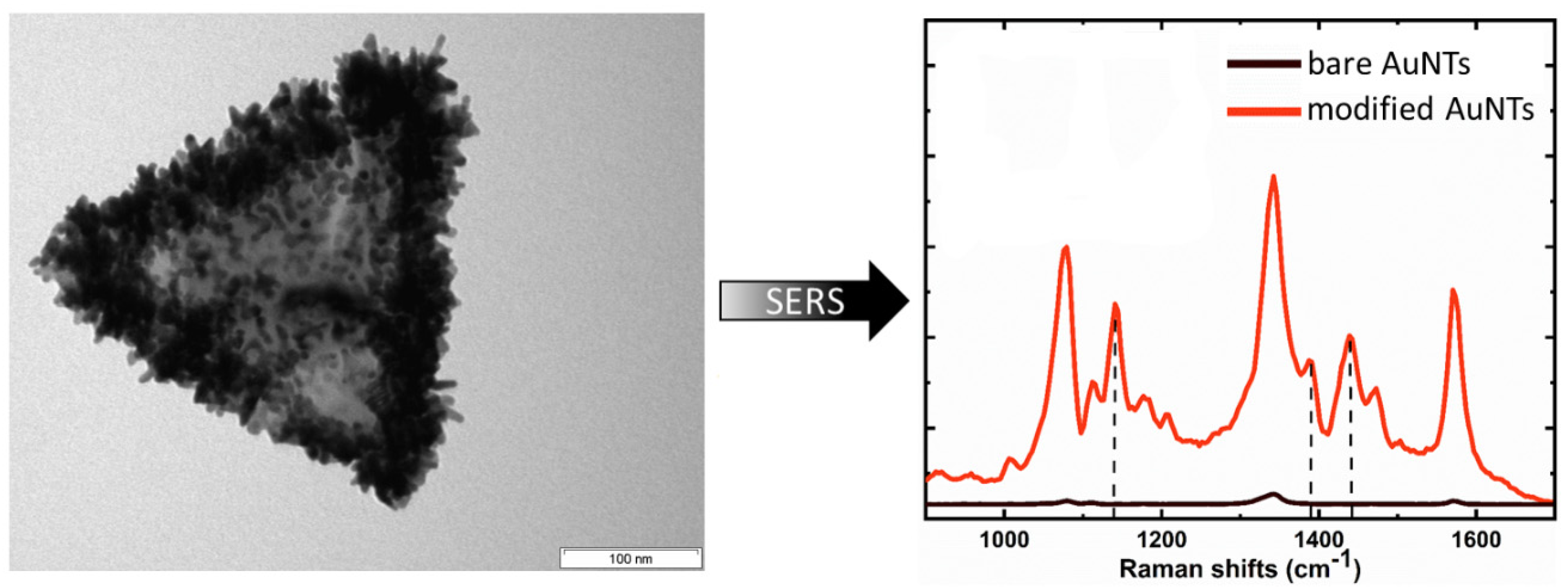 Nanomaterials 10 02187 g006 Nanomaterials 10 02187 g006