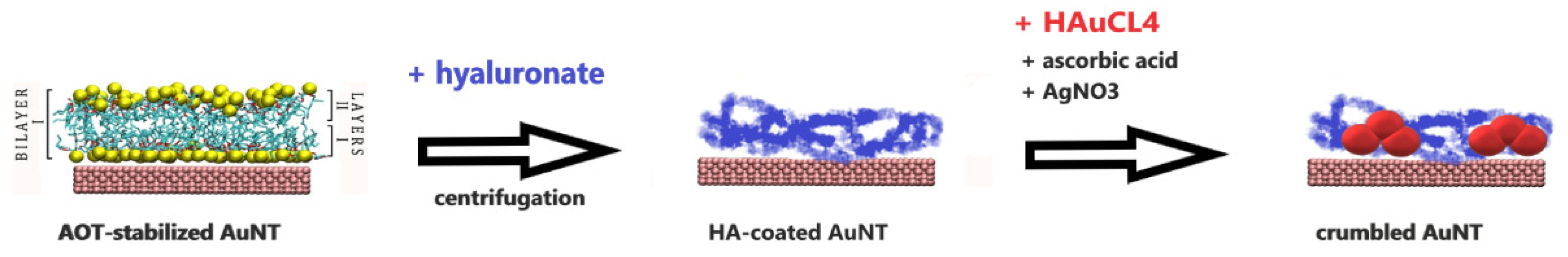 Nanomaterials 10 02187 sch003 Nanomaterials 10 02187 sch003