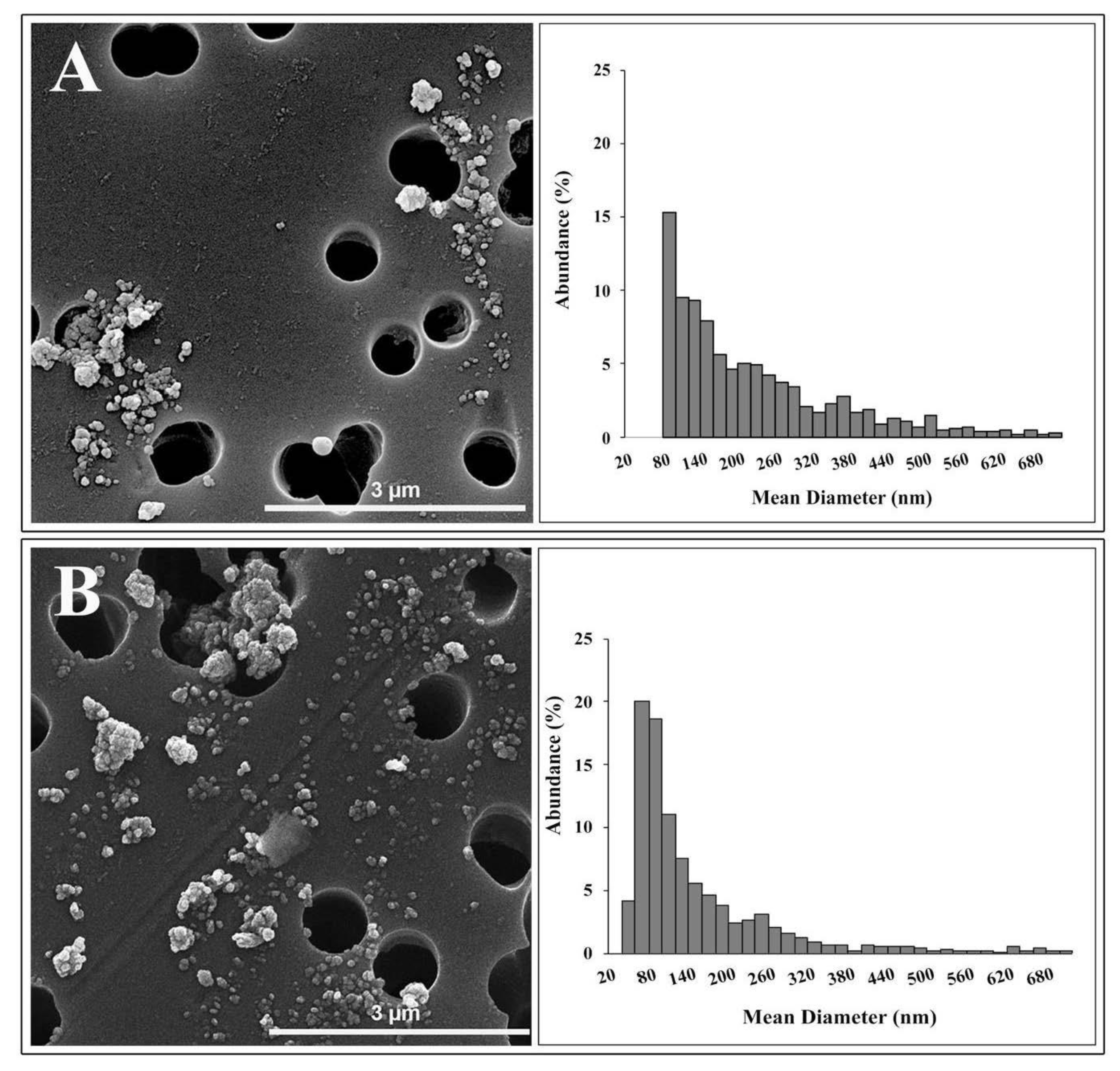 Nanomaterials 10 02196 g001