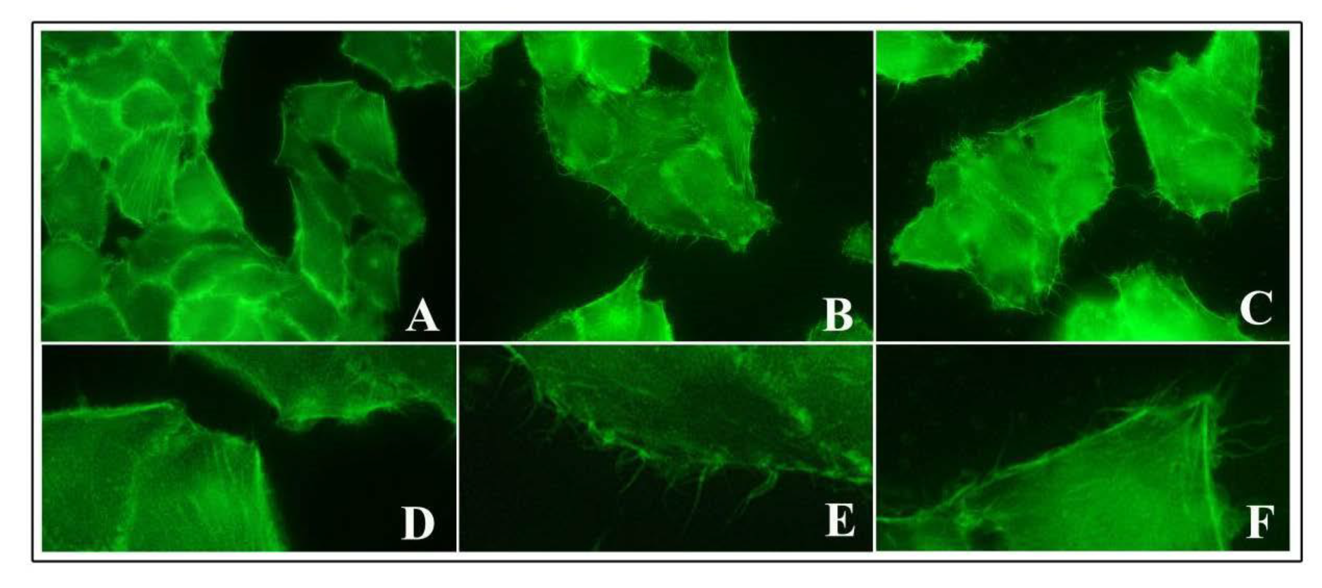 Nanomaterials 10 02196 g006