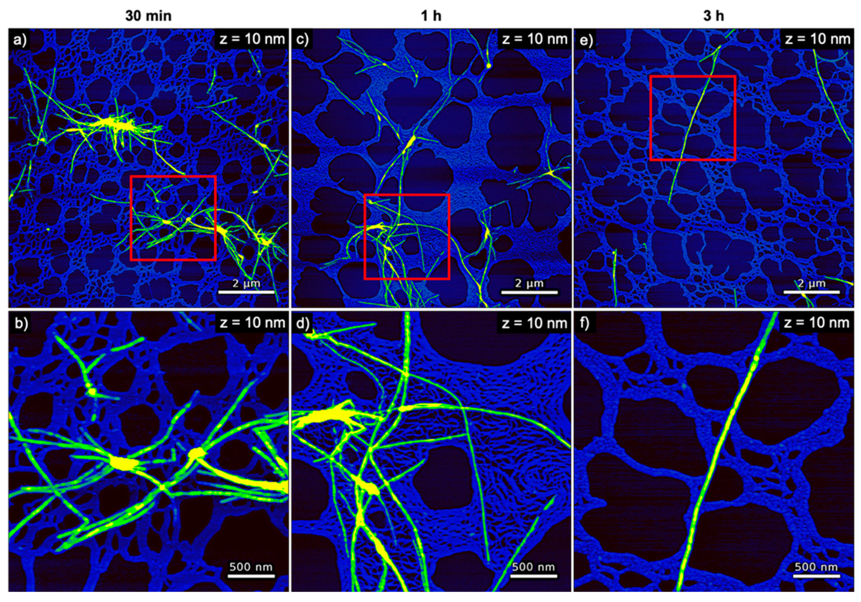 Nanomaterials 10 02200 g005