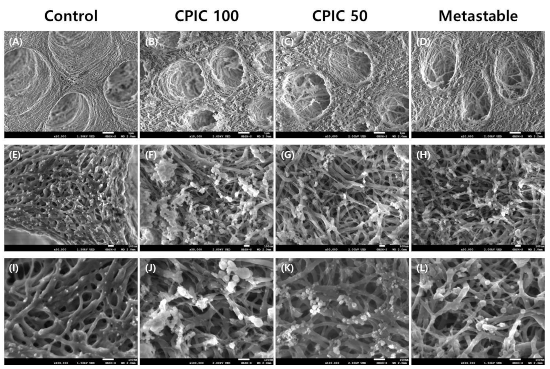 Nanomaterials 10 02203 g001