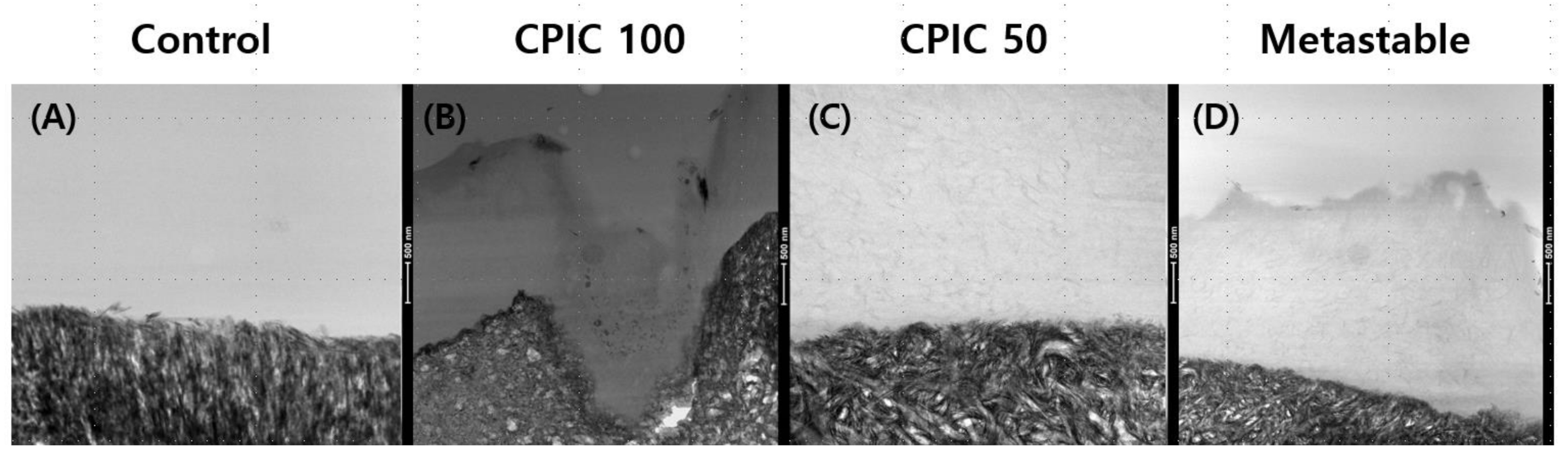 Nanomaterials 10 02203 g002