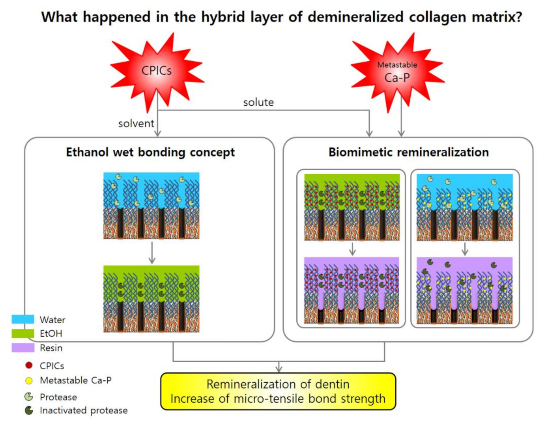 Nanomaterials 10 02203 g005