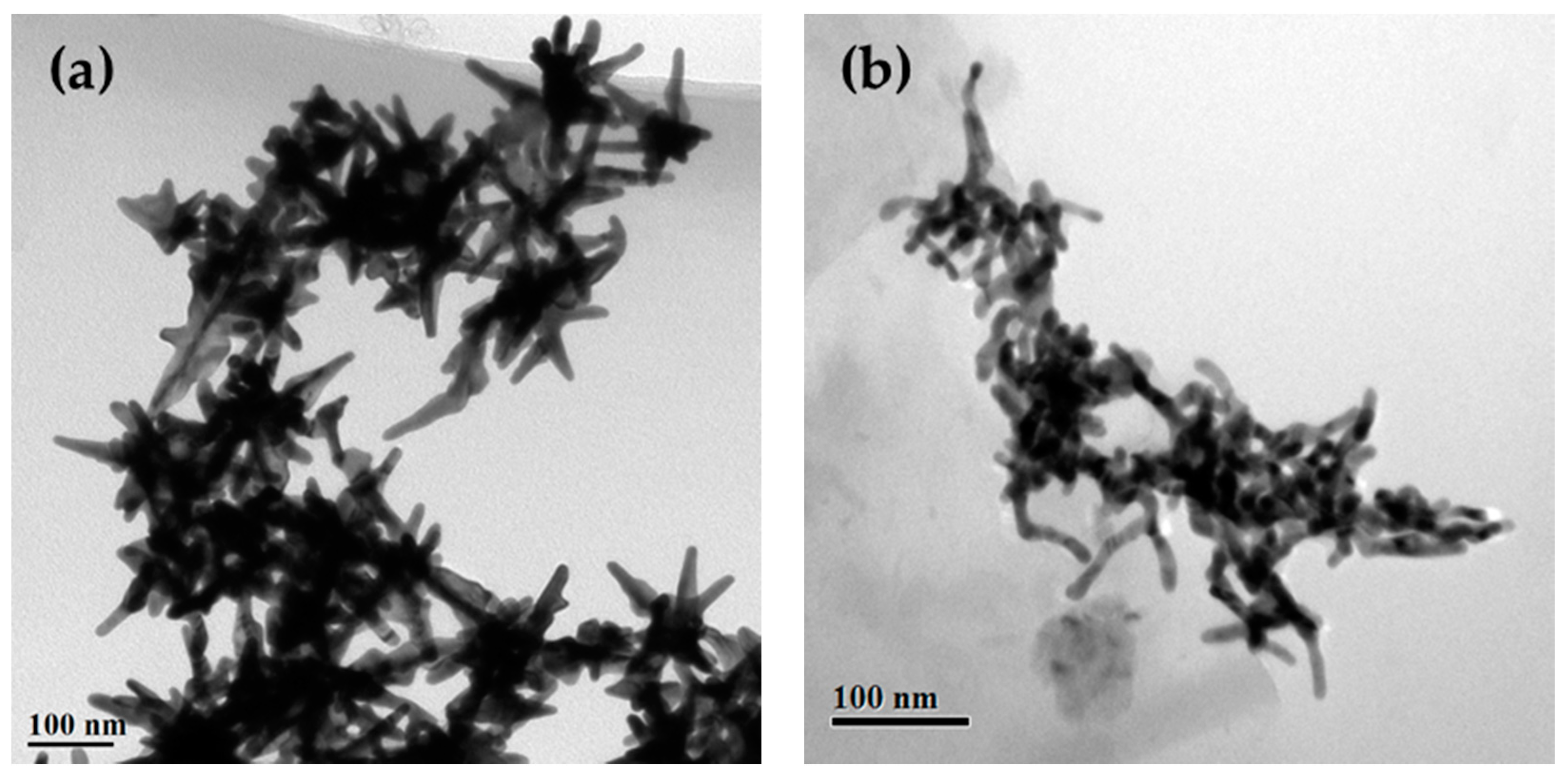 Nanomaterials 10 02207 g001 Nanomaterials 10 02207 g001