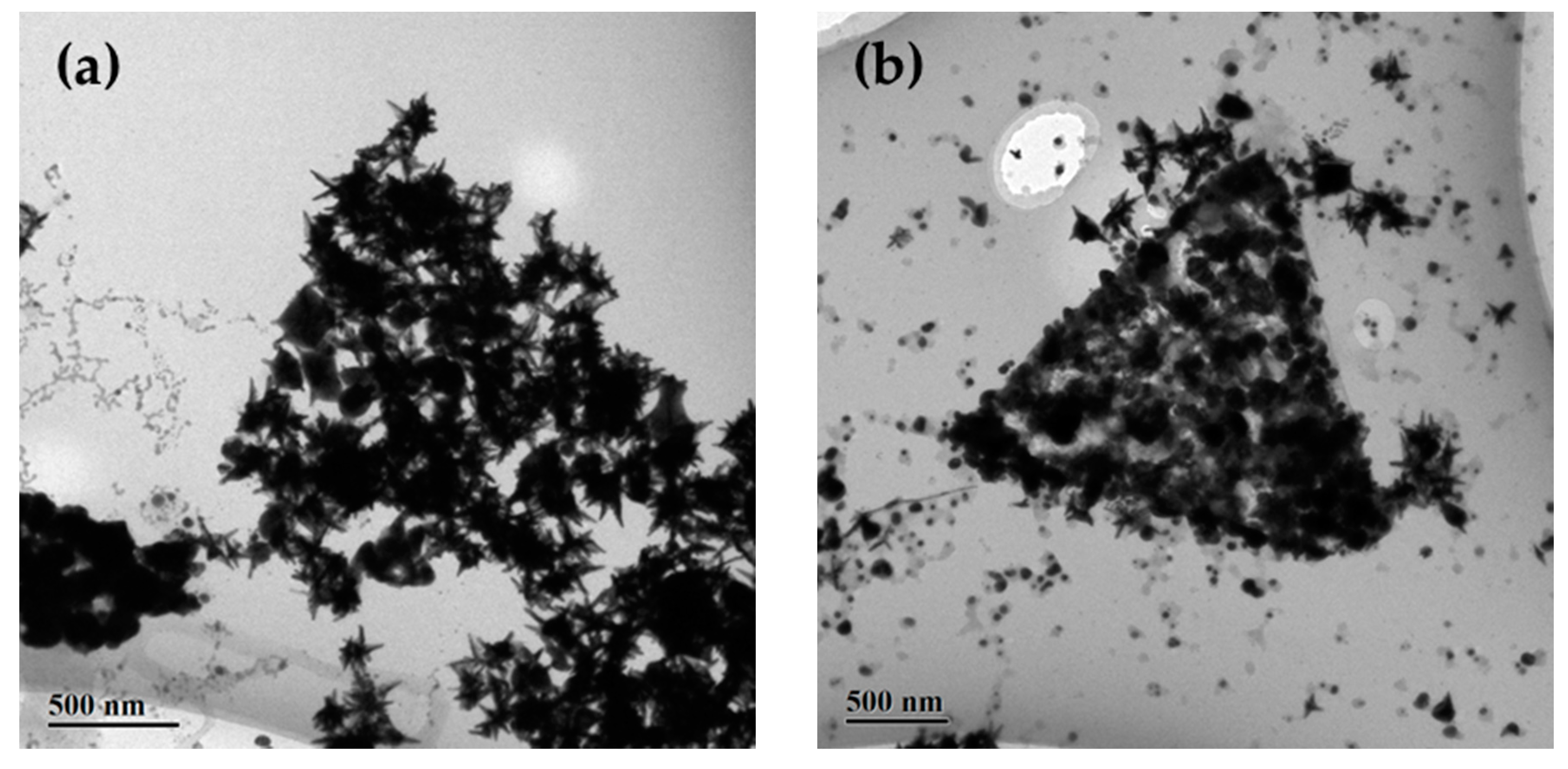 Nanomaterials 10 02207 g003 Nanomaterials 10 02207 g003