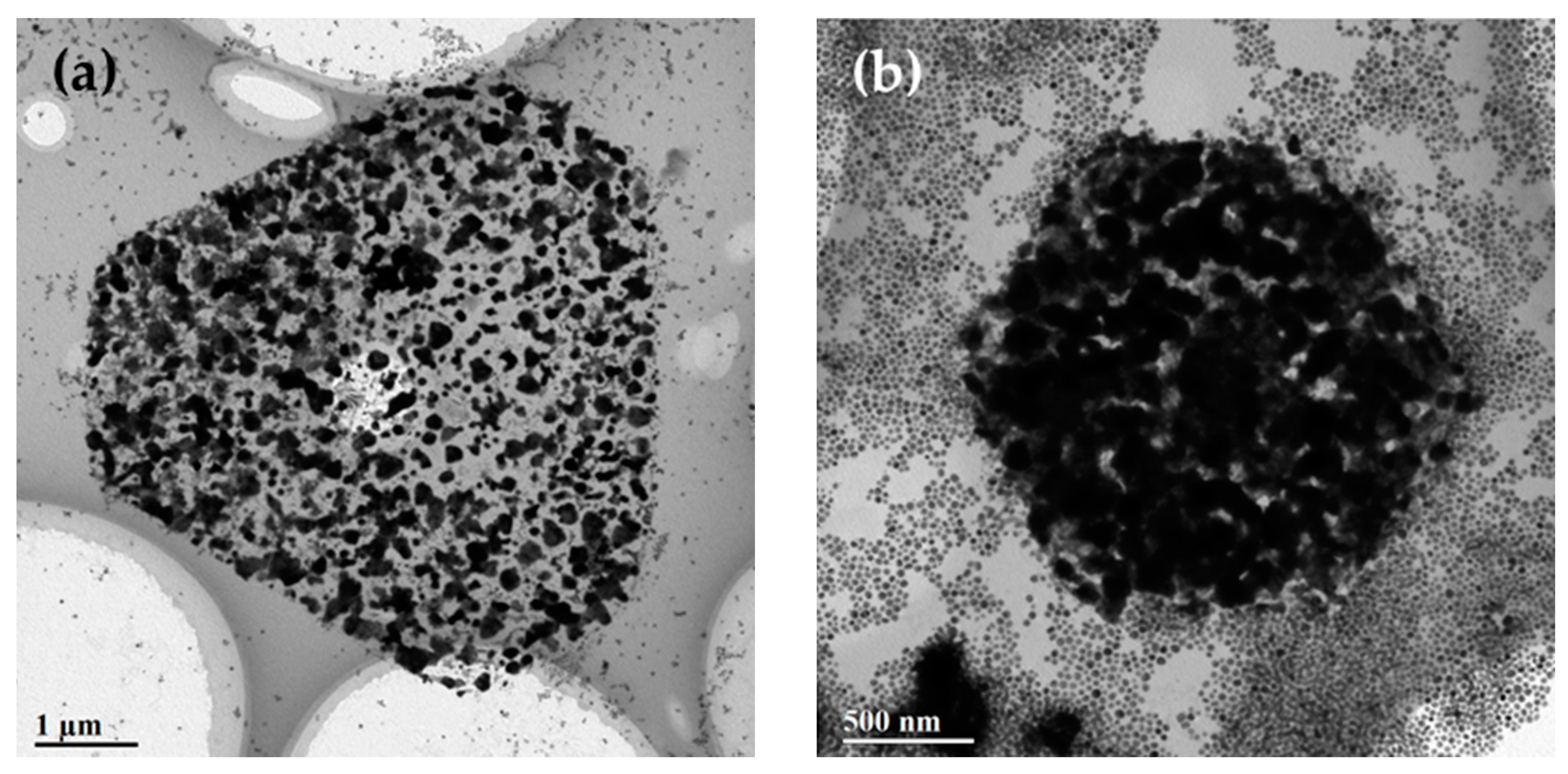 Nanomaterials 10 02207 g005 Nanomaterials 10 02207 g005
