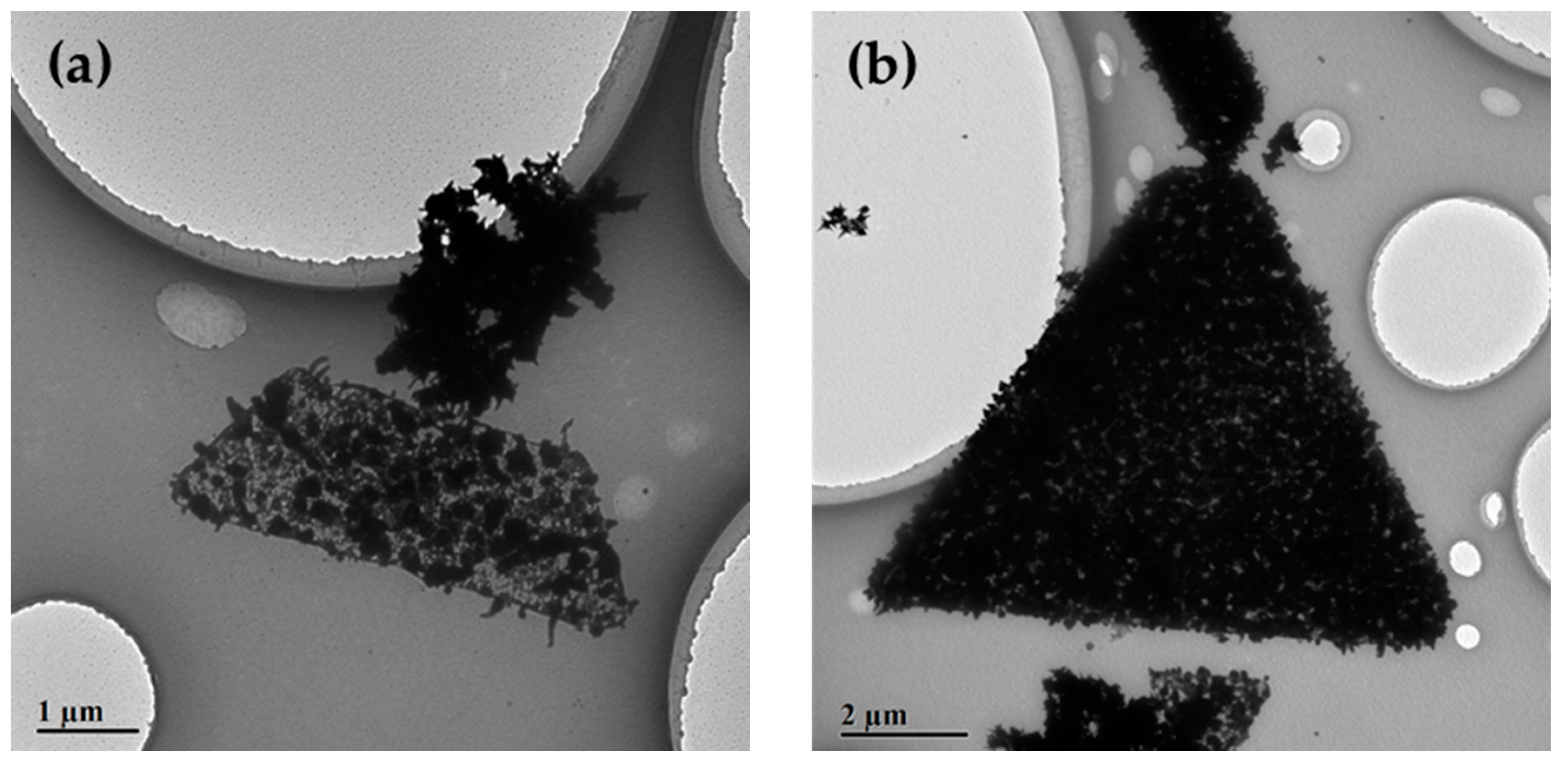 Nanomaterials 10 02207 g006 Nanomaterials 10 02207 g006