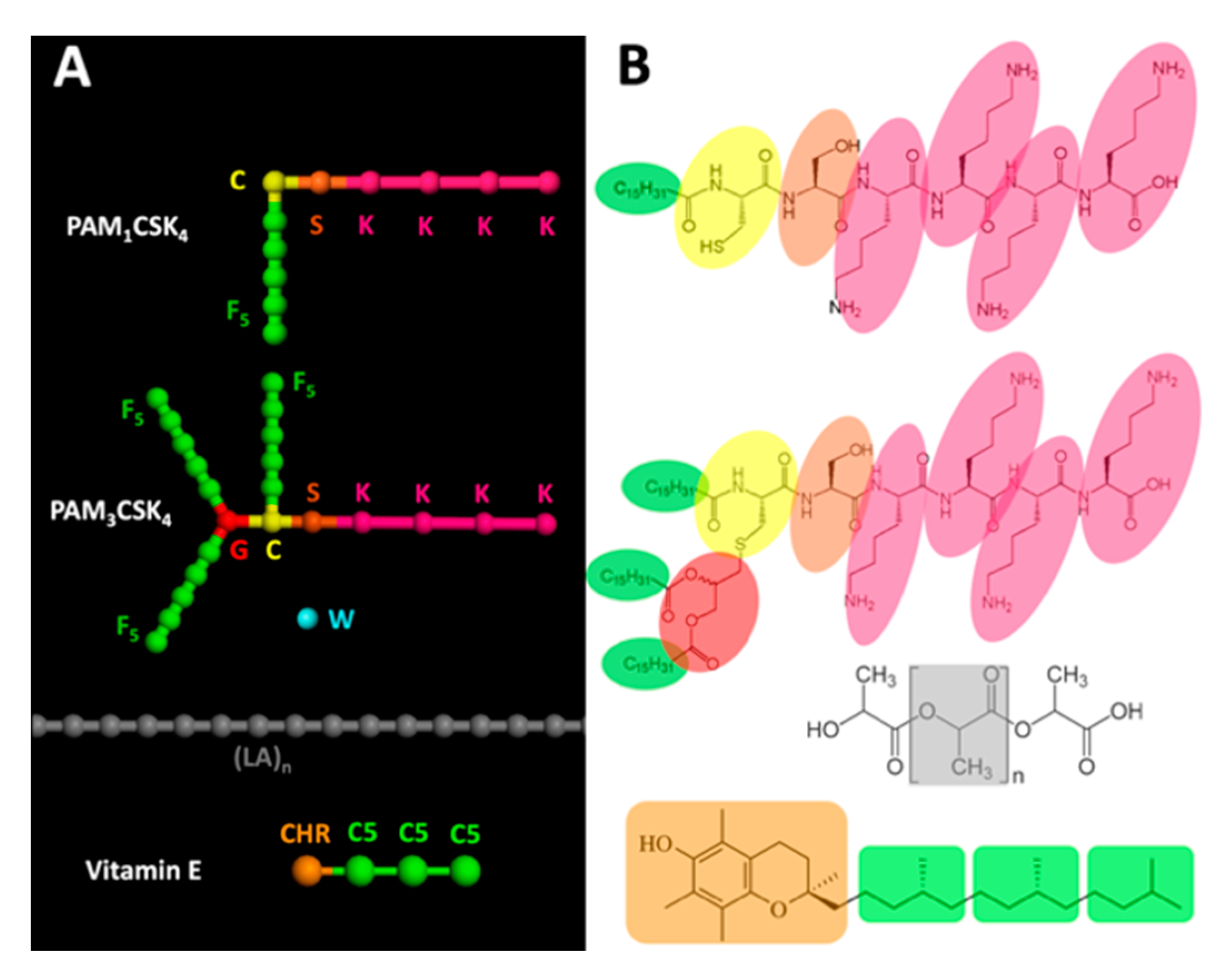 Nanomaterials 10 02209 g001