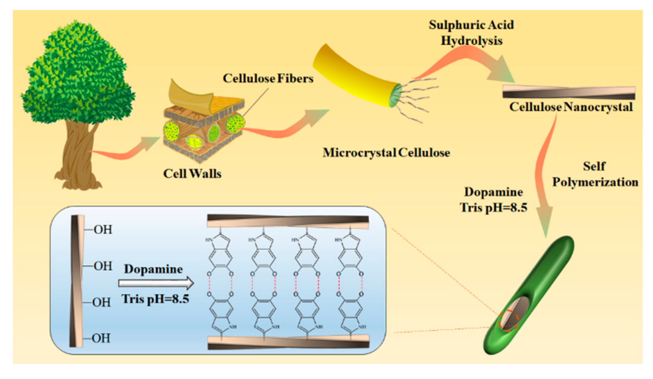 Nanomaterials 10 02210 g001