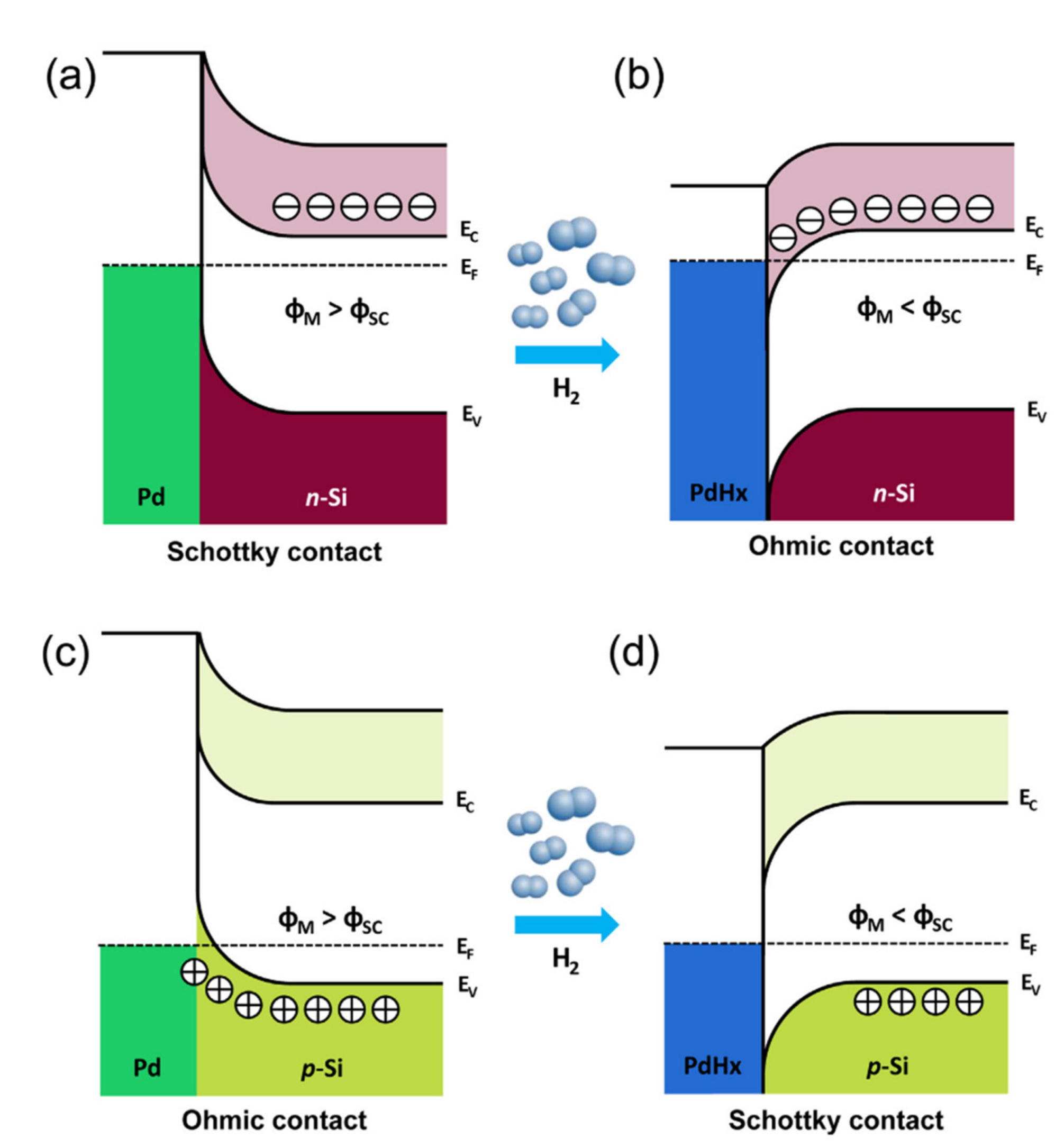 Nanomaterials 10 02215 g012